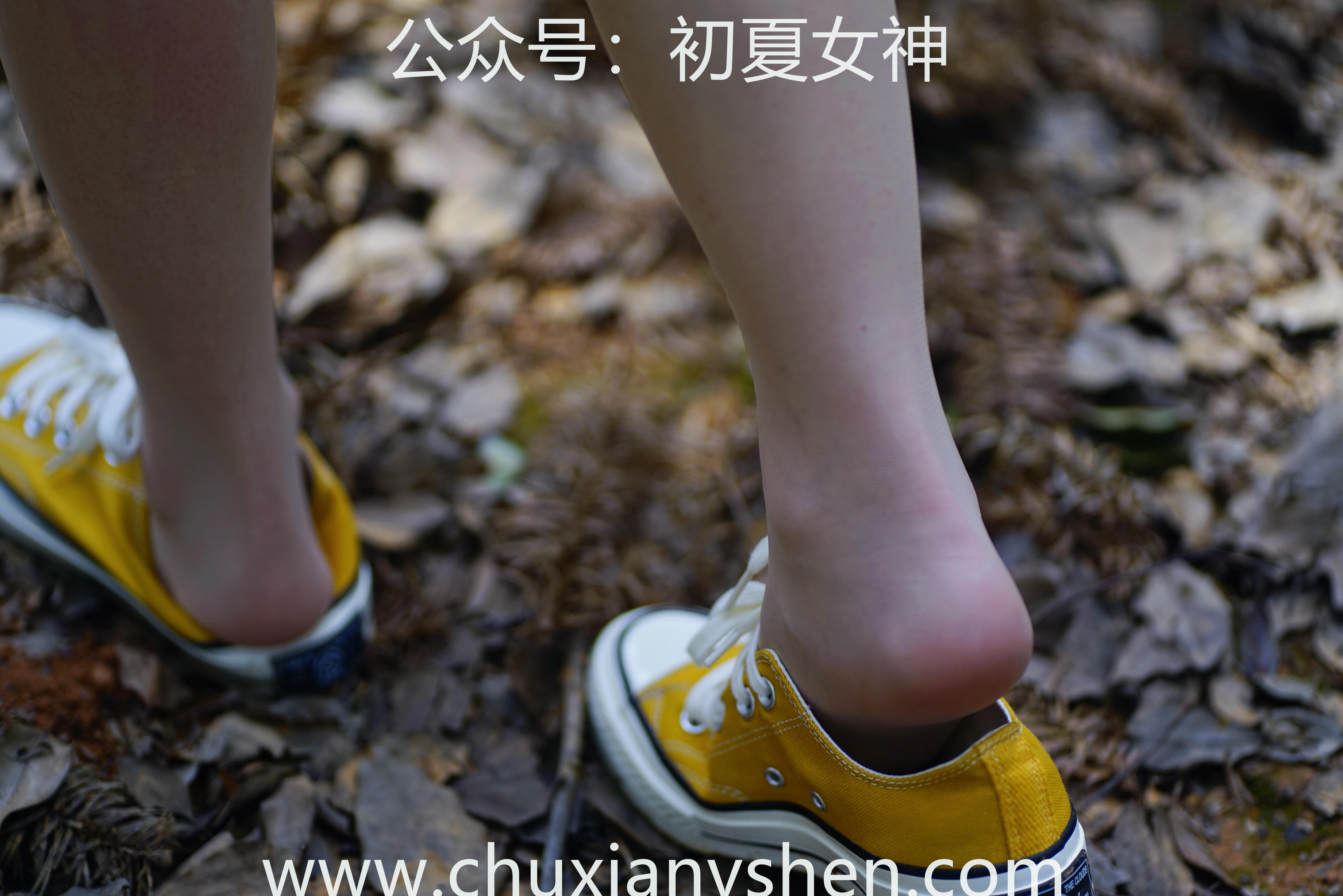 初夏女神 NO.052 大发 山野大发[132P+1V／4.04GB]_第4集