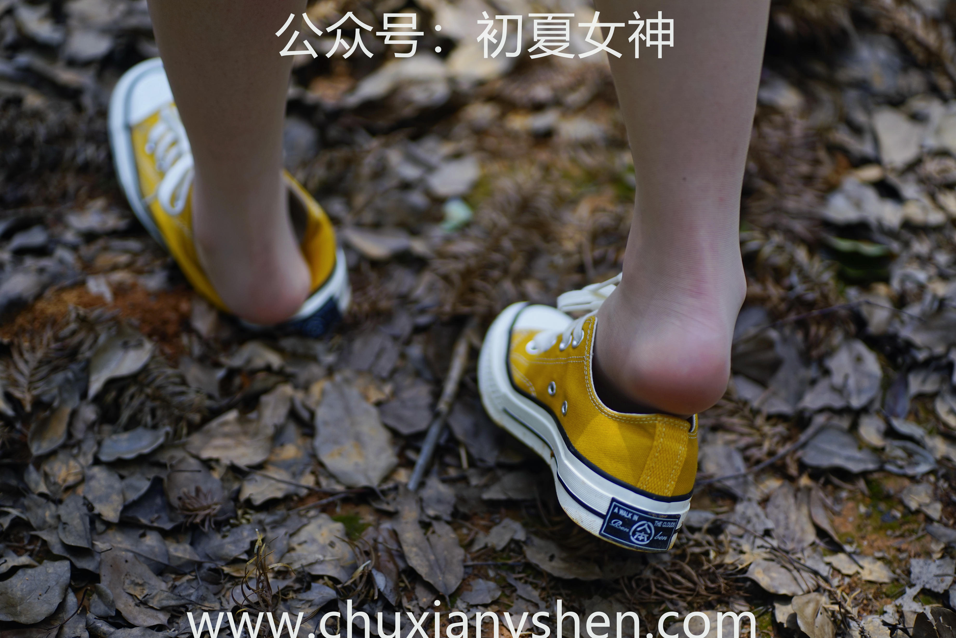 初夏女神 NO.052 大发 山野大发[132P+1V／4.04GB]_第4集