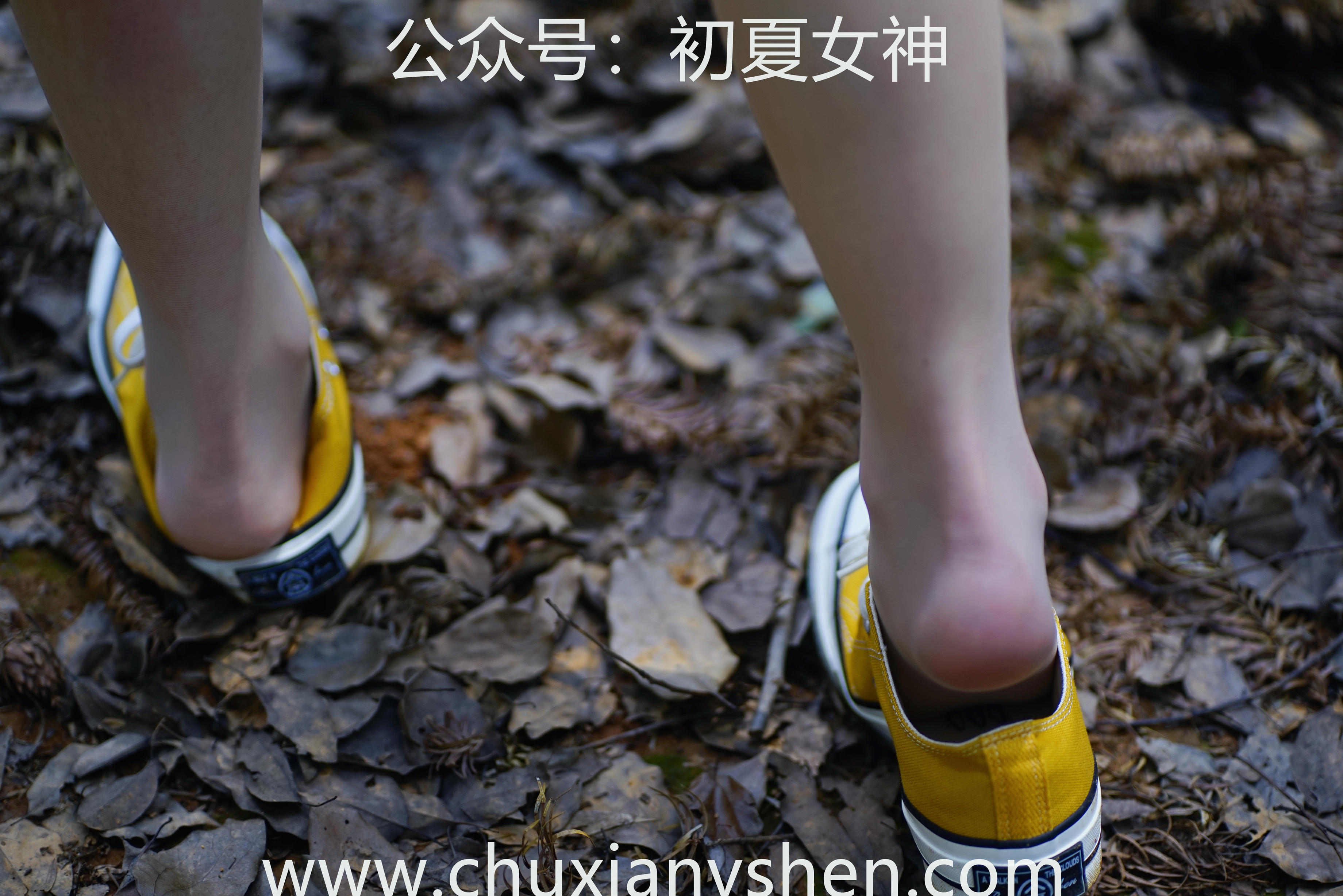 初夏女神 NO.052 大发 山野大发[132P+1V／4.04GB]_第4集