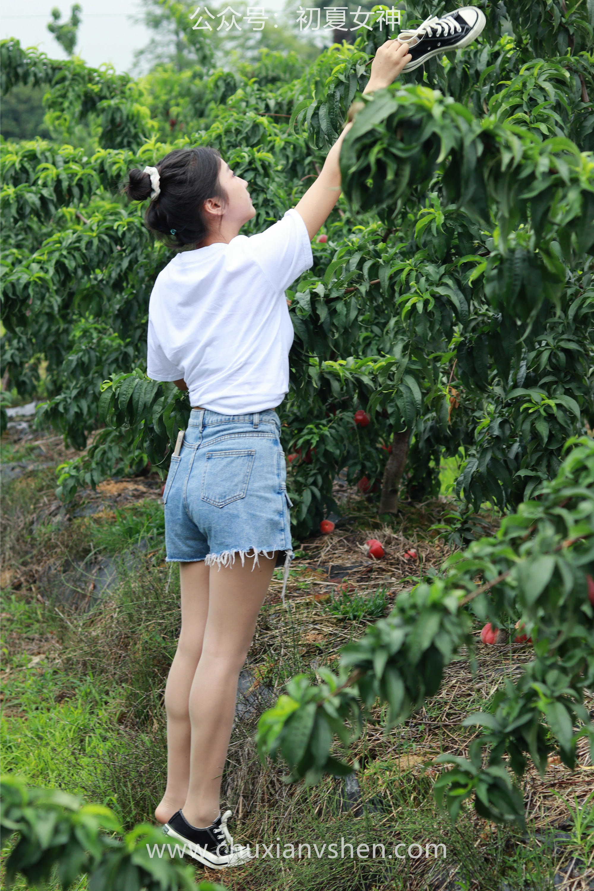 初夏女神 NO.055 双双&点点 桃园姐妹[172P+1V／6.33GB]_第6集