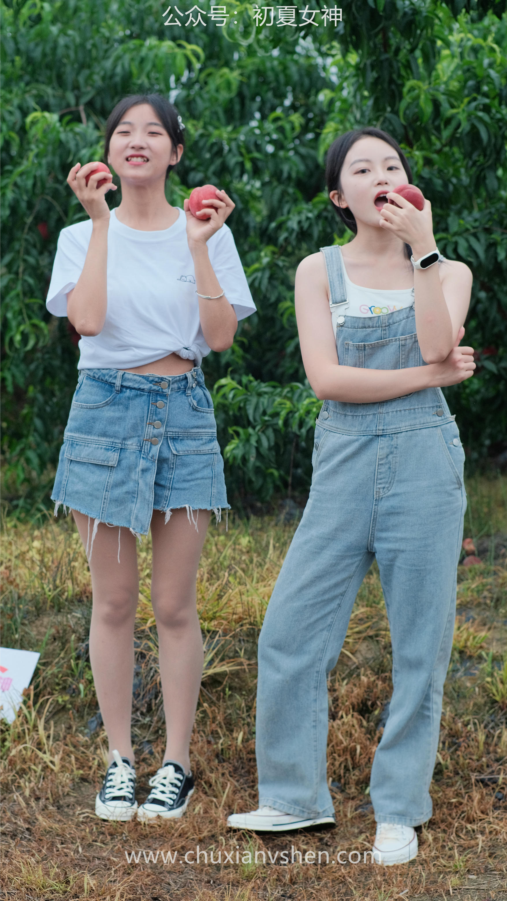 初夏女神 NO.055 双双&点点 桃园姐妹[172P+1V／6.33GB]_第1集