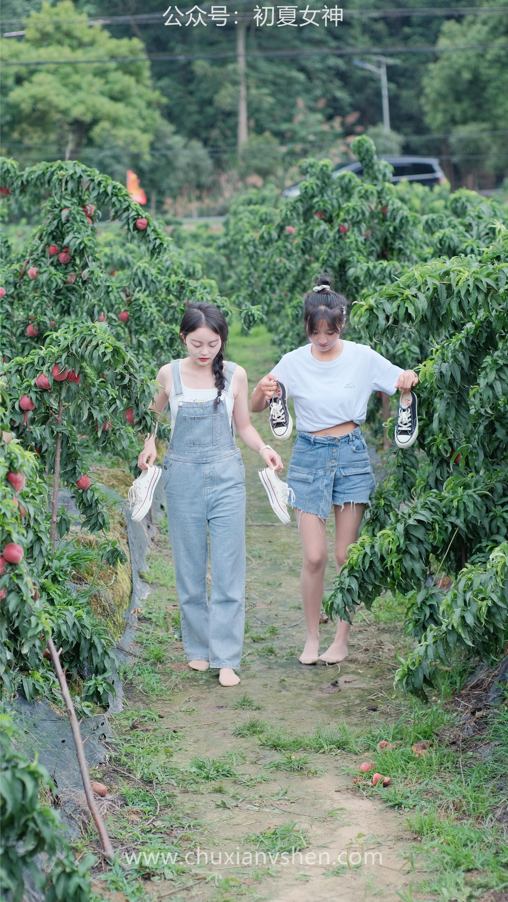 初夏女神 NO.055 双双&点点 桃园姐妹[172P+1V／6.33GB]_第4集