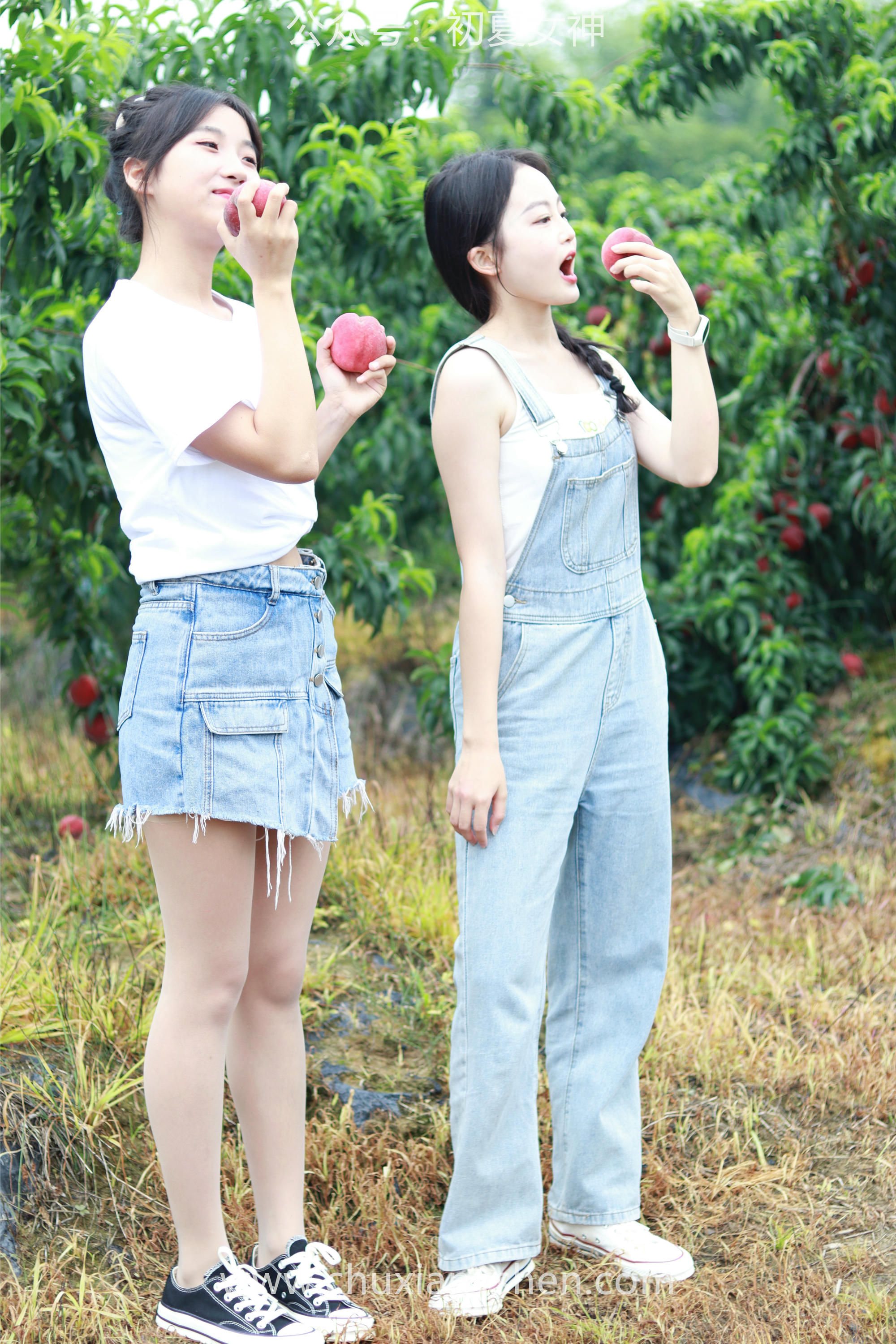 初夏女神 NO.055 双双&点点 桃园姐妹[172P+1V／6.33GB]_第5集