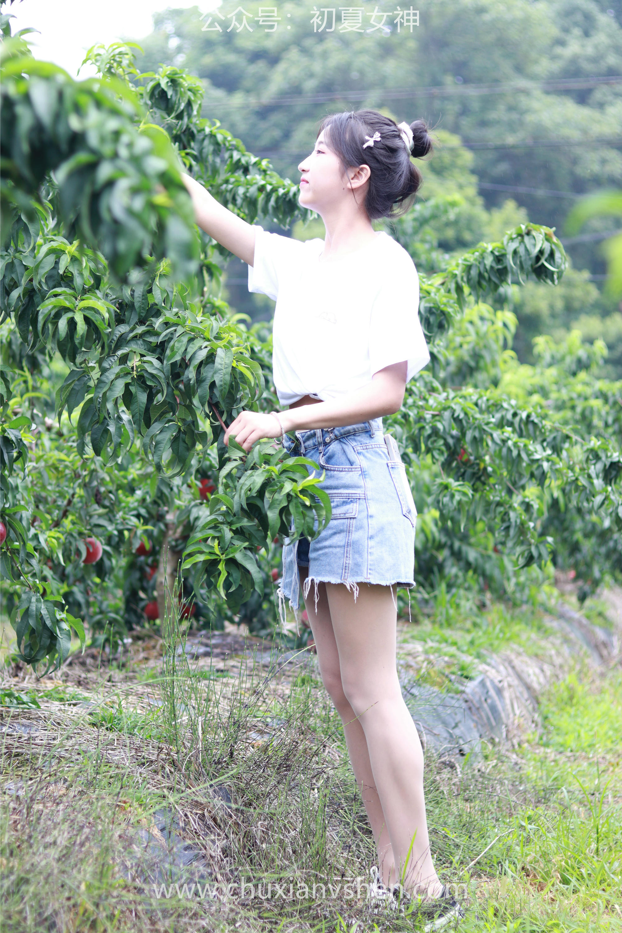 初夏女神 NO.055 双双&点点 桃园姐妹[172P+1V／6.33GB]_第5集