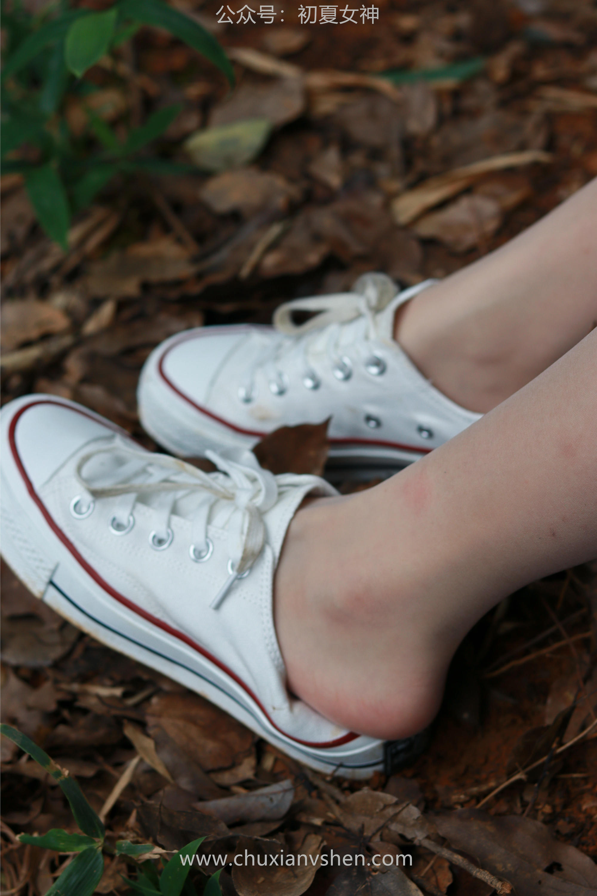 初夏女神 NO.058 点点&双双 姐妹出行[163P+1V／7.05GB]_第6集