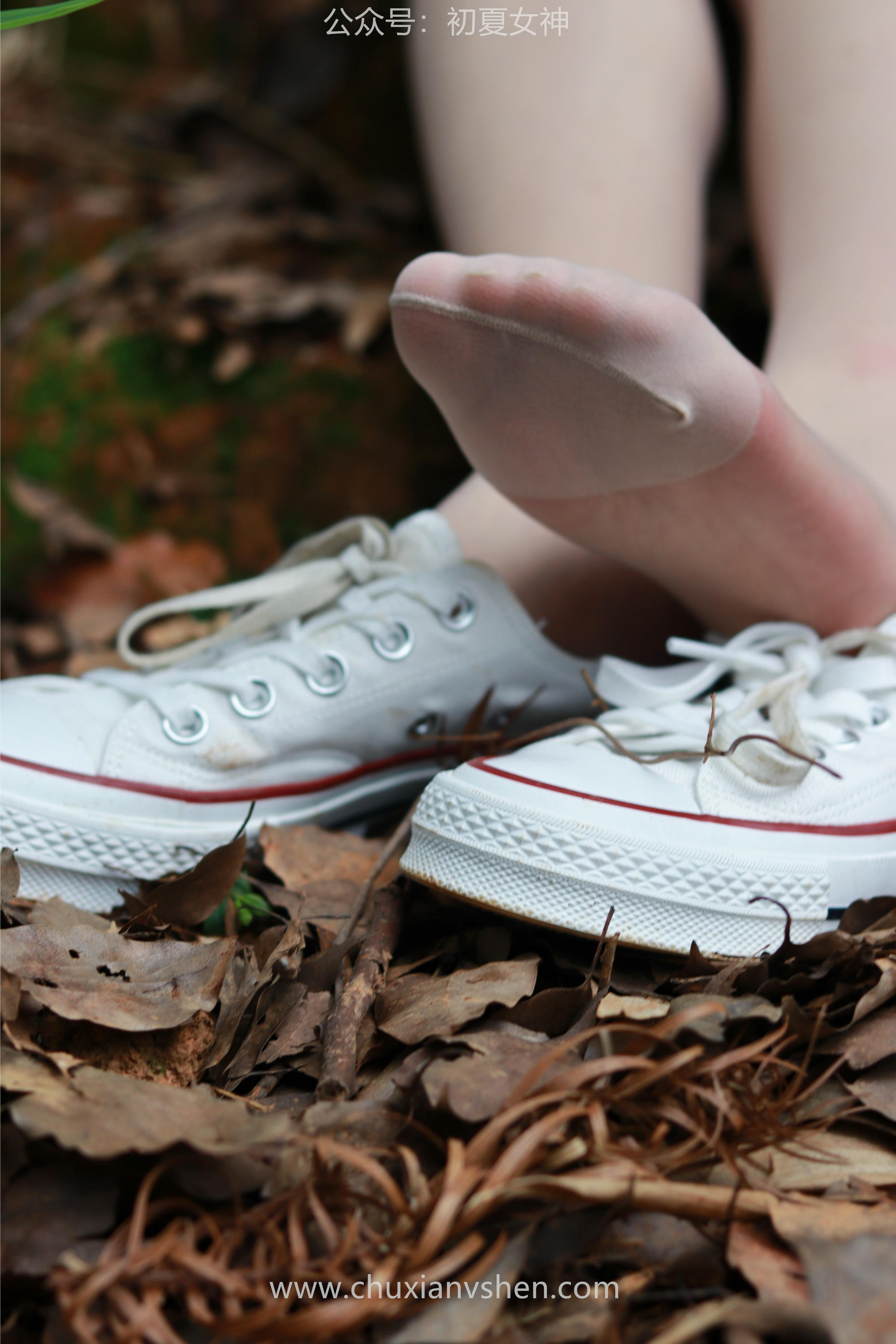 初夏女神 NO.058 点点&双双 姐妹出行[163P+1V／7.05GB]_第6集