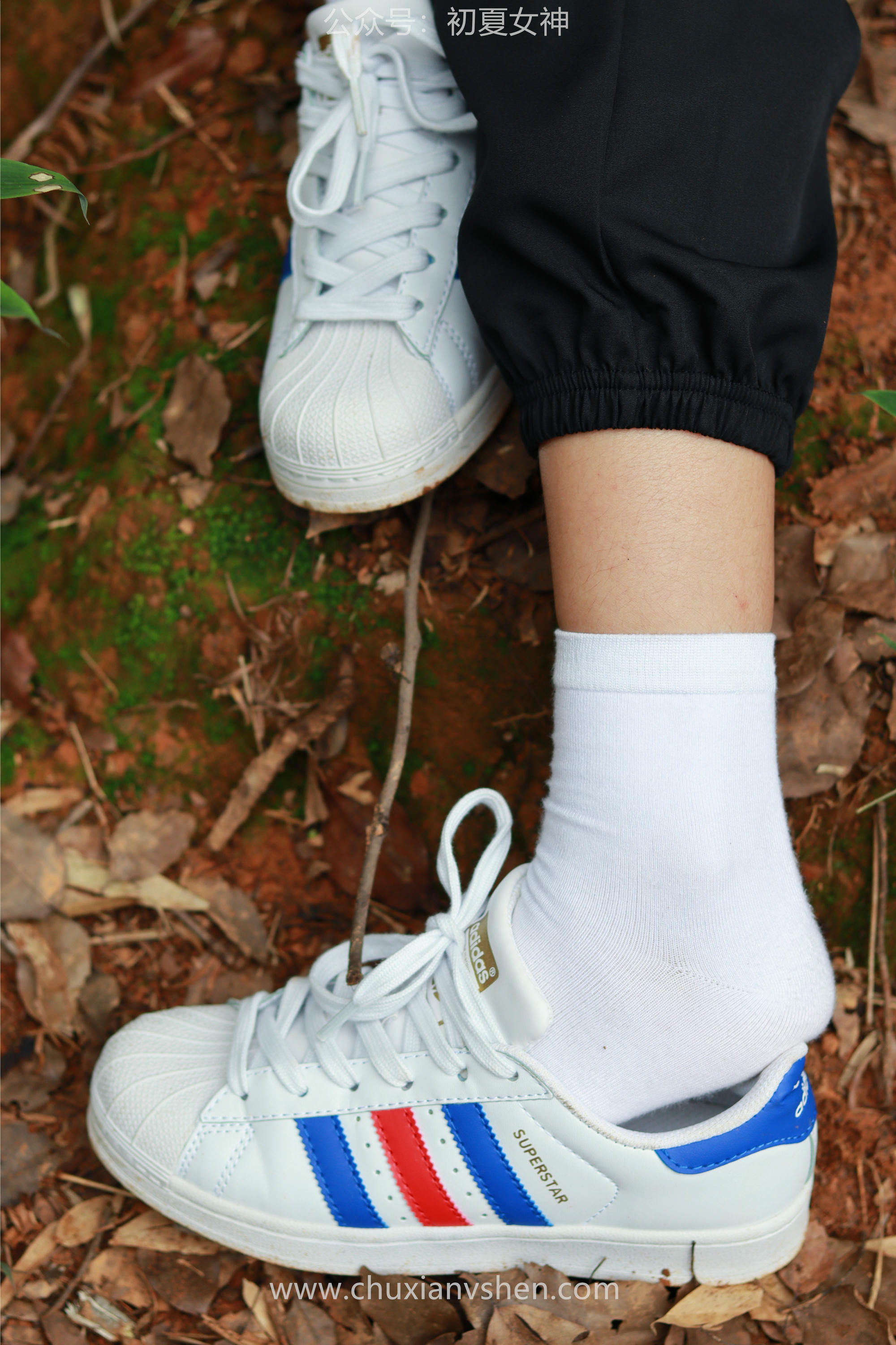 初夏女神 NO.058 点点&双双 姐妹出行[163P+1V／7.05GB]_第6集