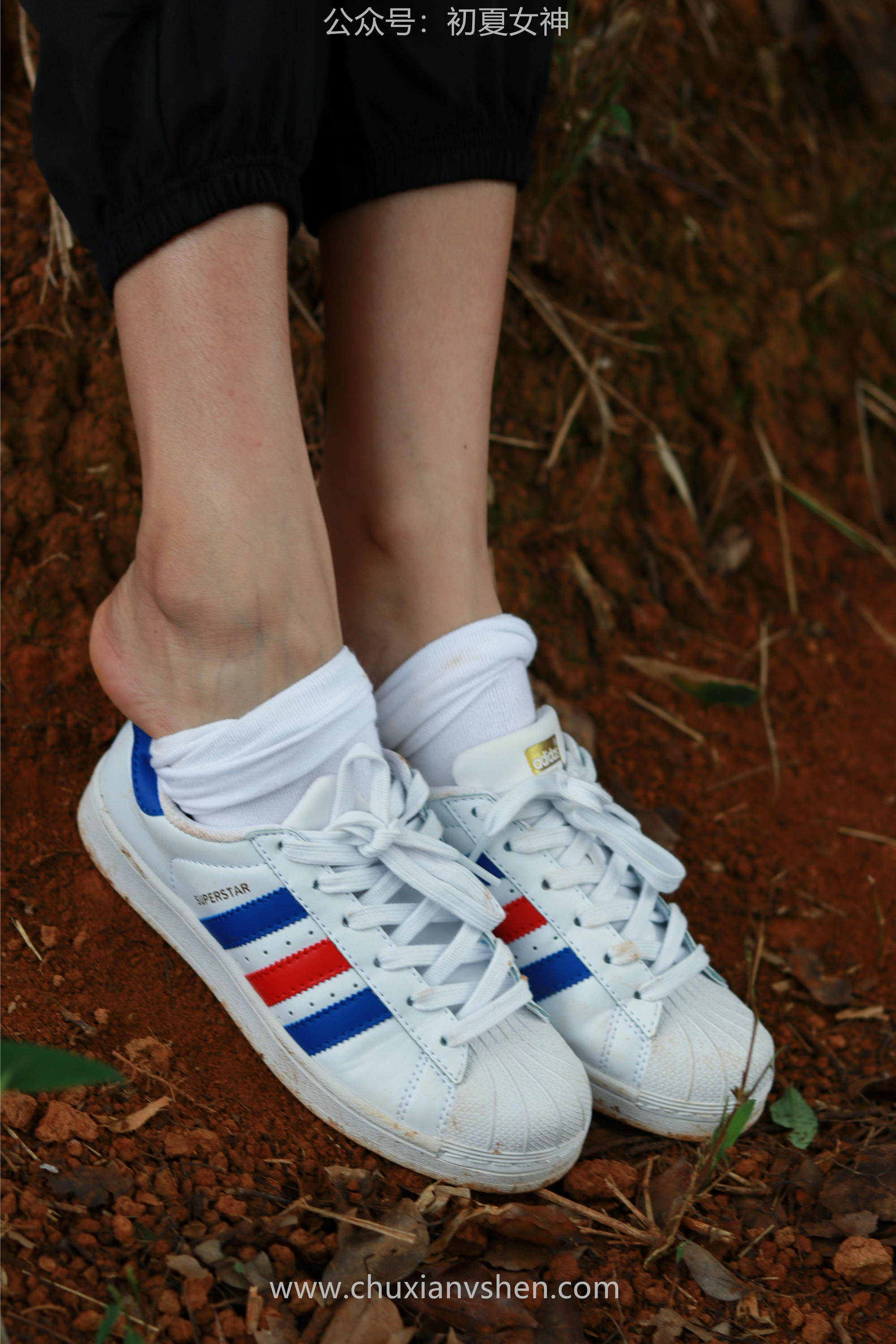 初夏女神 NO.058 点点&双双 姐妹出行[163P+1V／7.05GB]_第8集