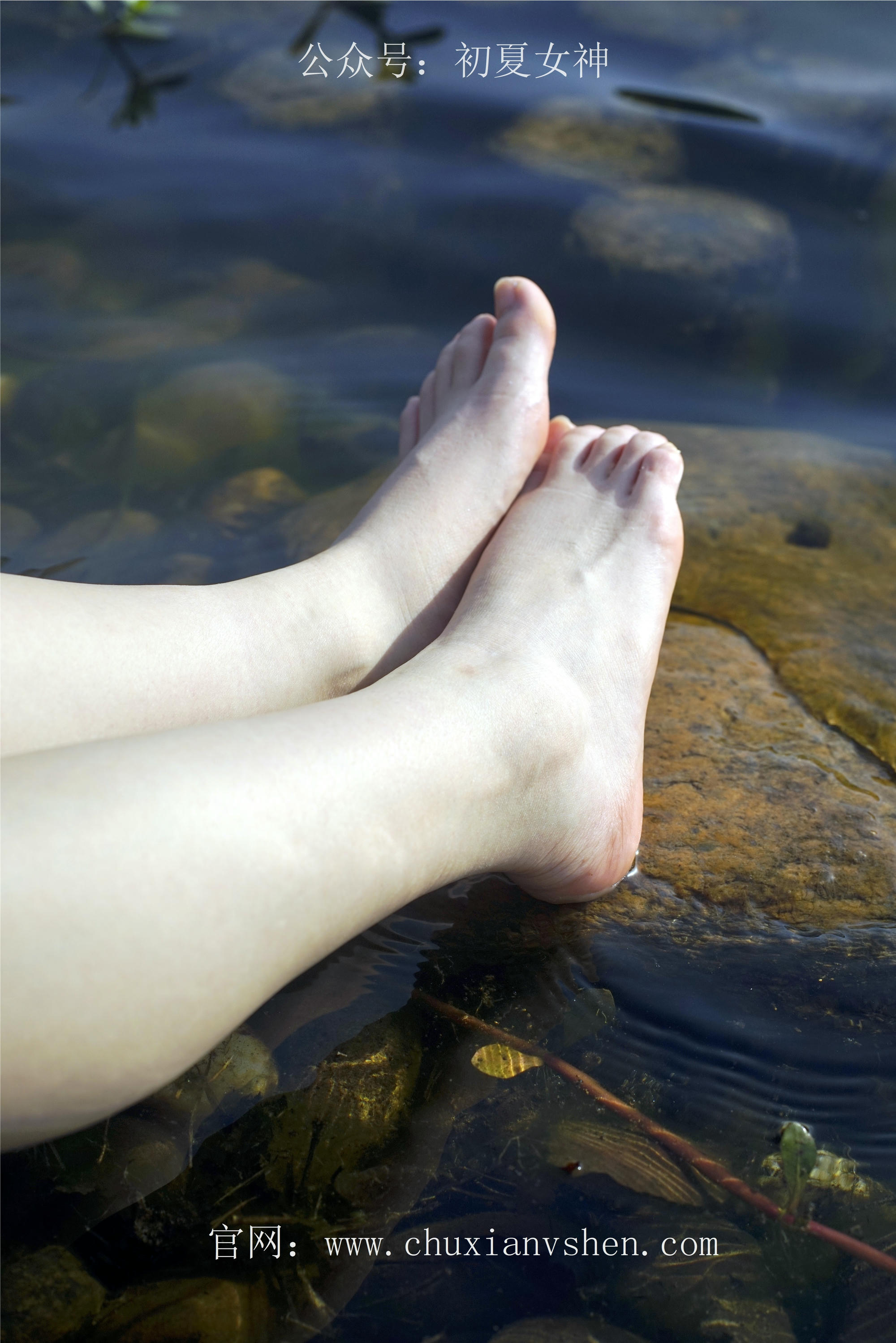 初夏女神 NO.061 念念 春秋JK套搭配三叶草贝壳头鞋[115P+1V／4.92GB]_第1集