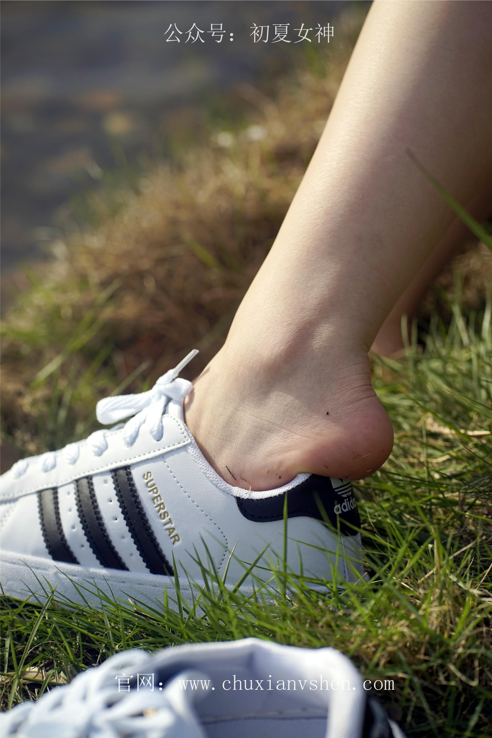 初夏女神 NO.061 念念 春秋JK套搭配三叶草贝壳头鞋[115P+1V／4.92GB]_第2集