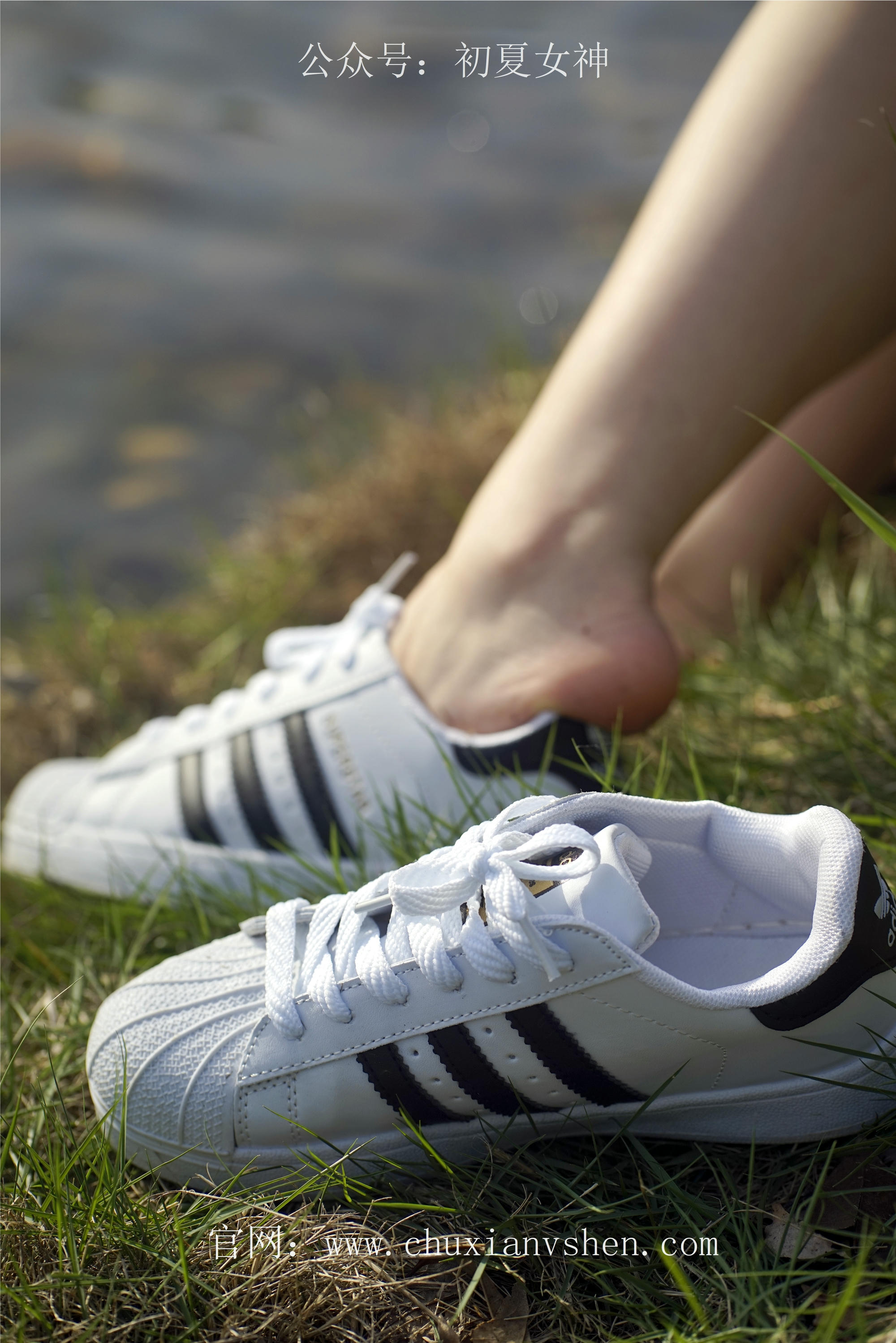 初夏女神 NO.061 念念 春秋JK套搭配三叶草贝壳头鞋[115P+1V／4.92GB]_第2集