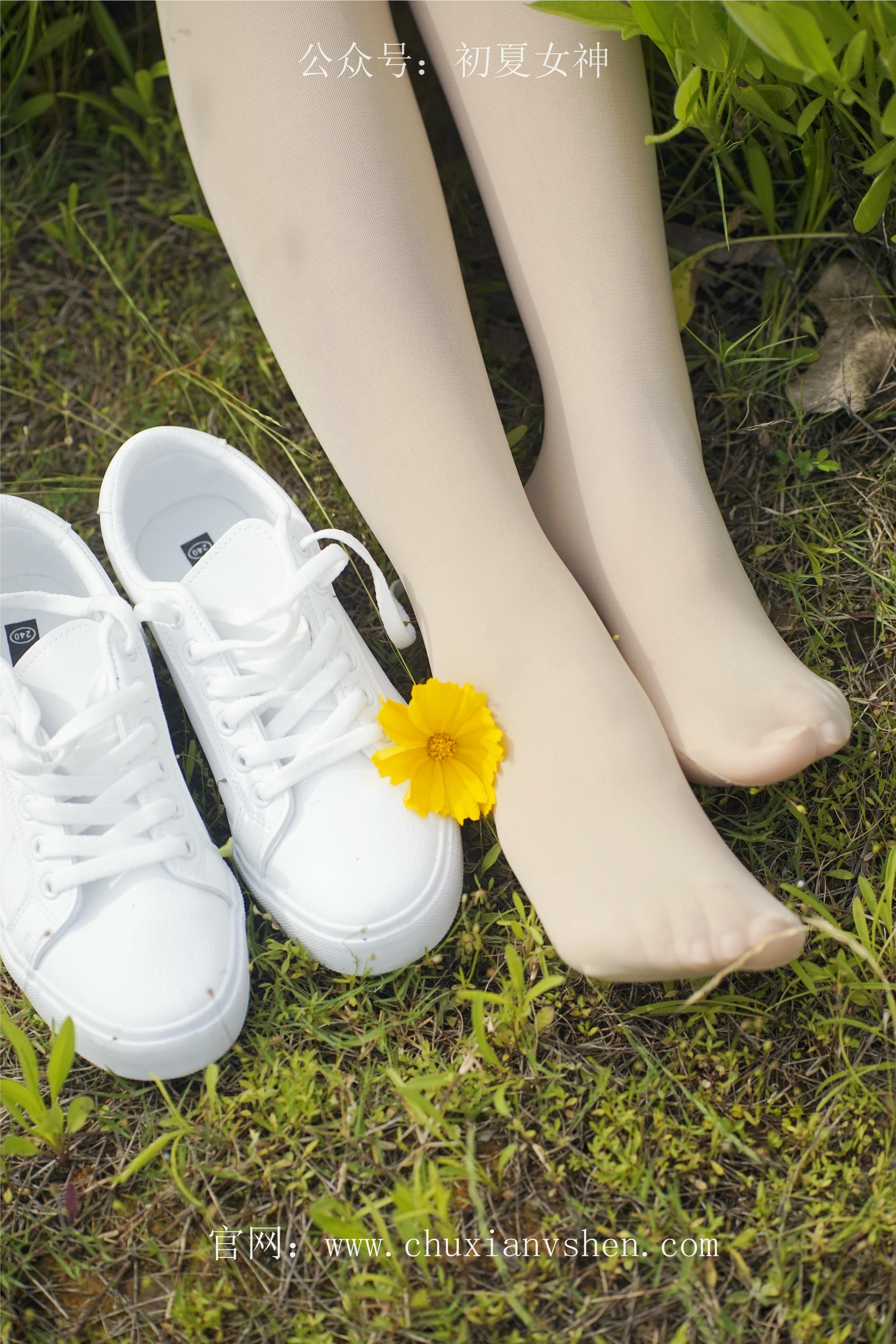 初夏女神 NO.070 依依 邻家女孩-风中少女[122P+1V／4.65GB]_第2集