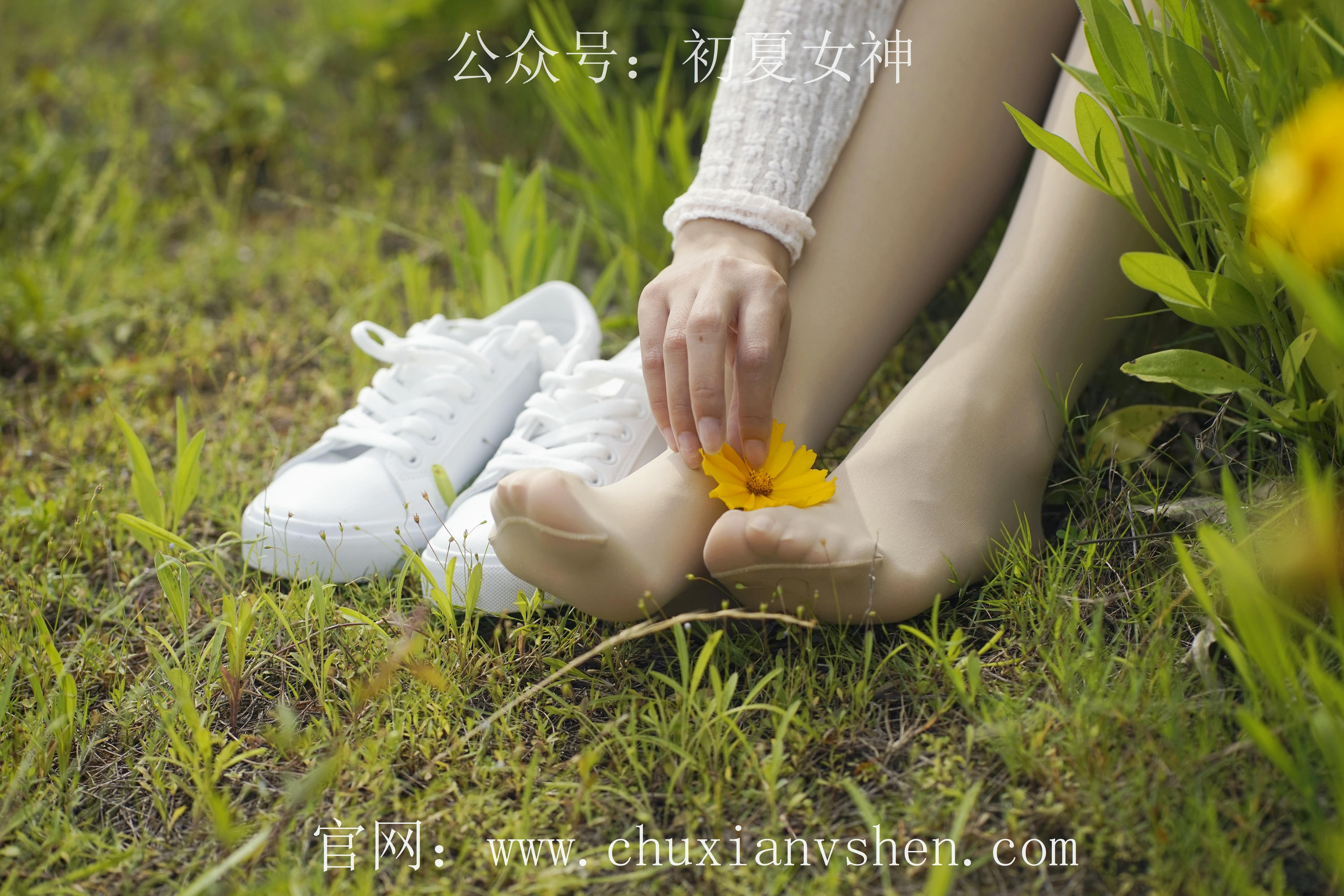 初夏女神 NO.070 依依 邻家女孩-风中少女[122P+1V／4.65GB]_第2集