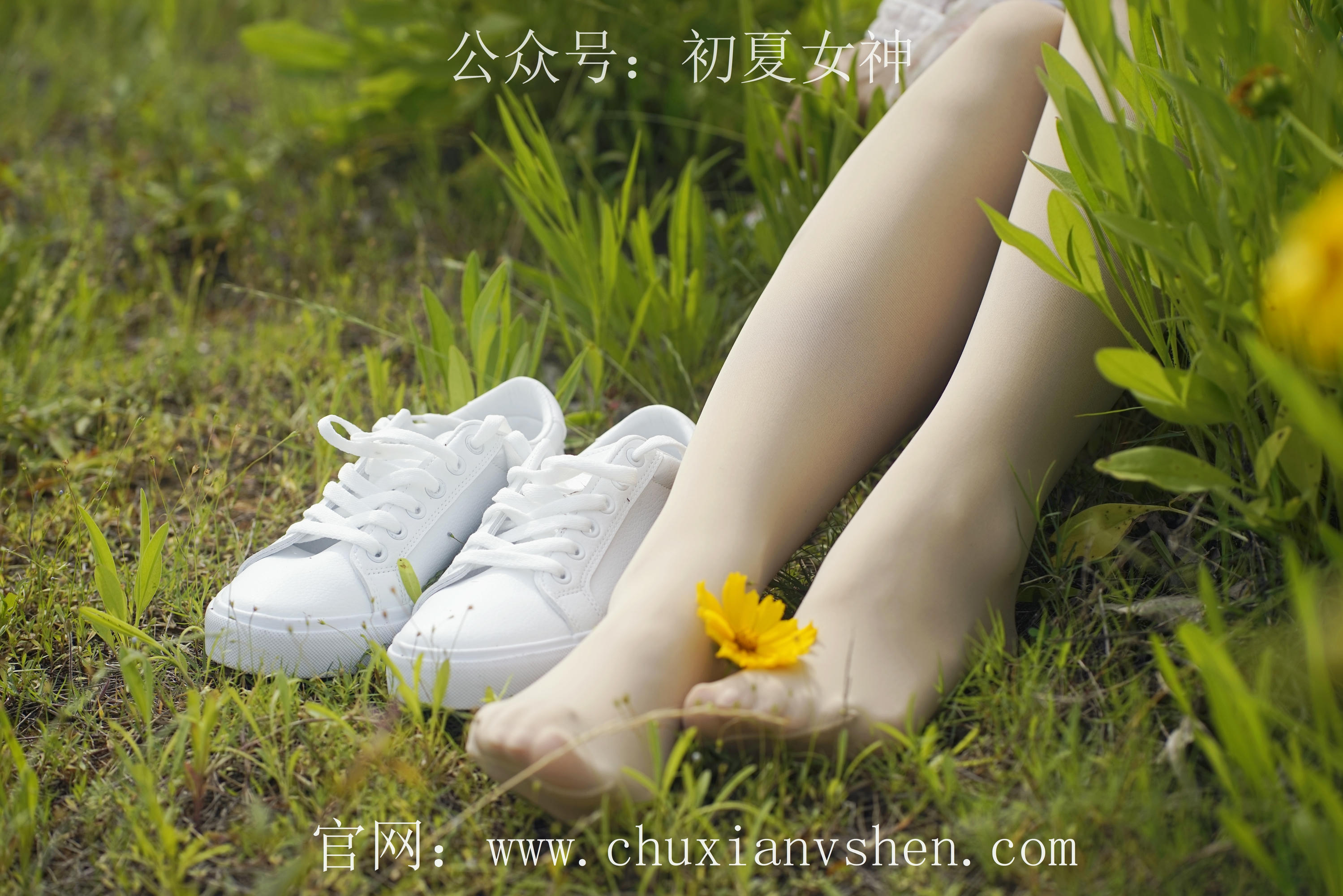 初夏女神 NO.070 依依 邻家女孩-风中少女[122P+1V／4.65GB]_第2集