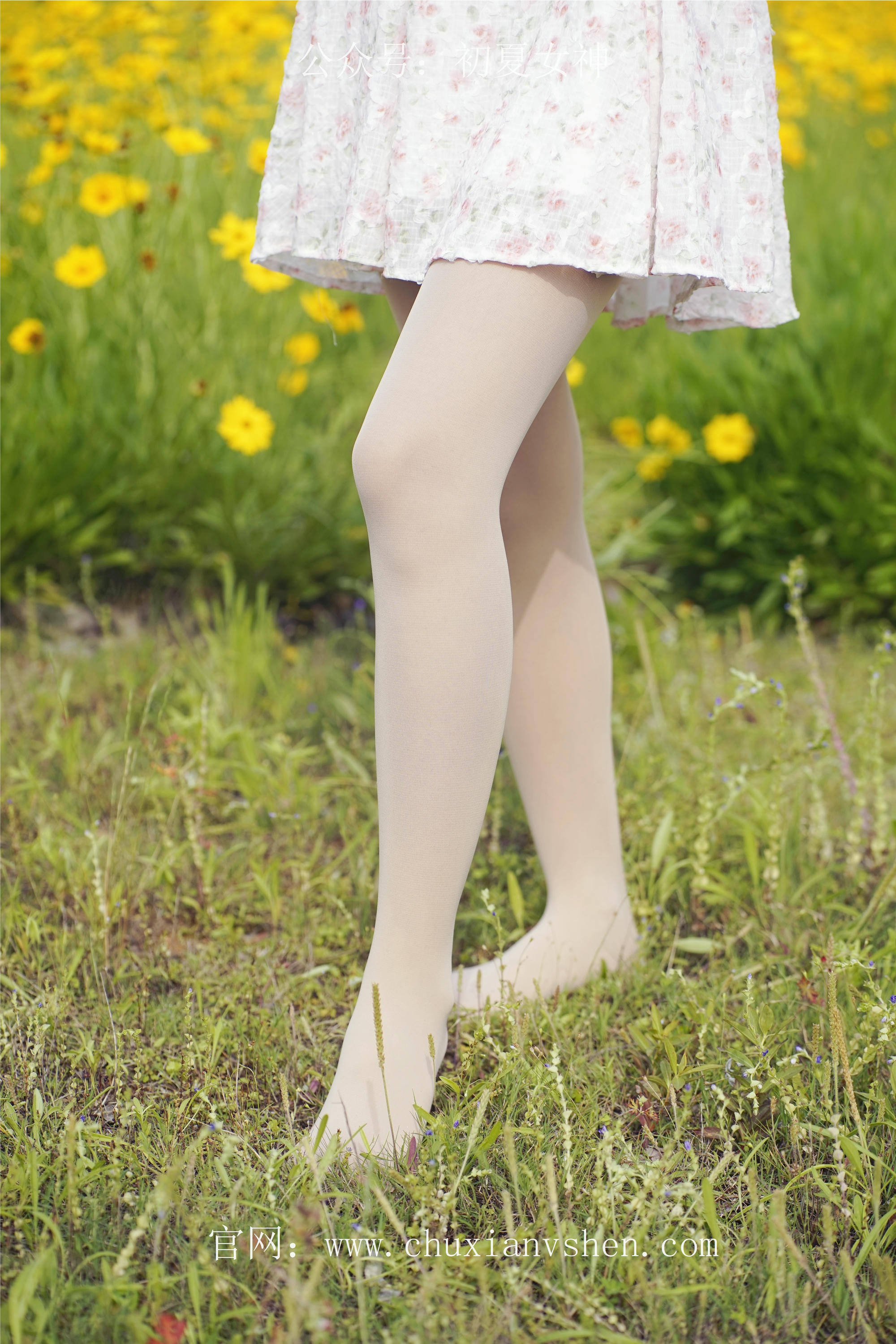 初夏女神 NO.070 依依 邻家女孩-风中少女[122P+1V／4.65GB]_第2集