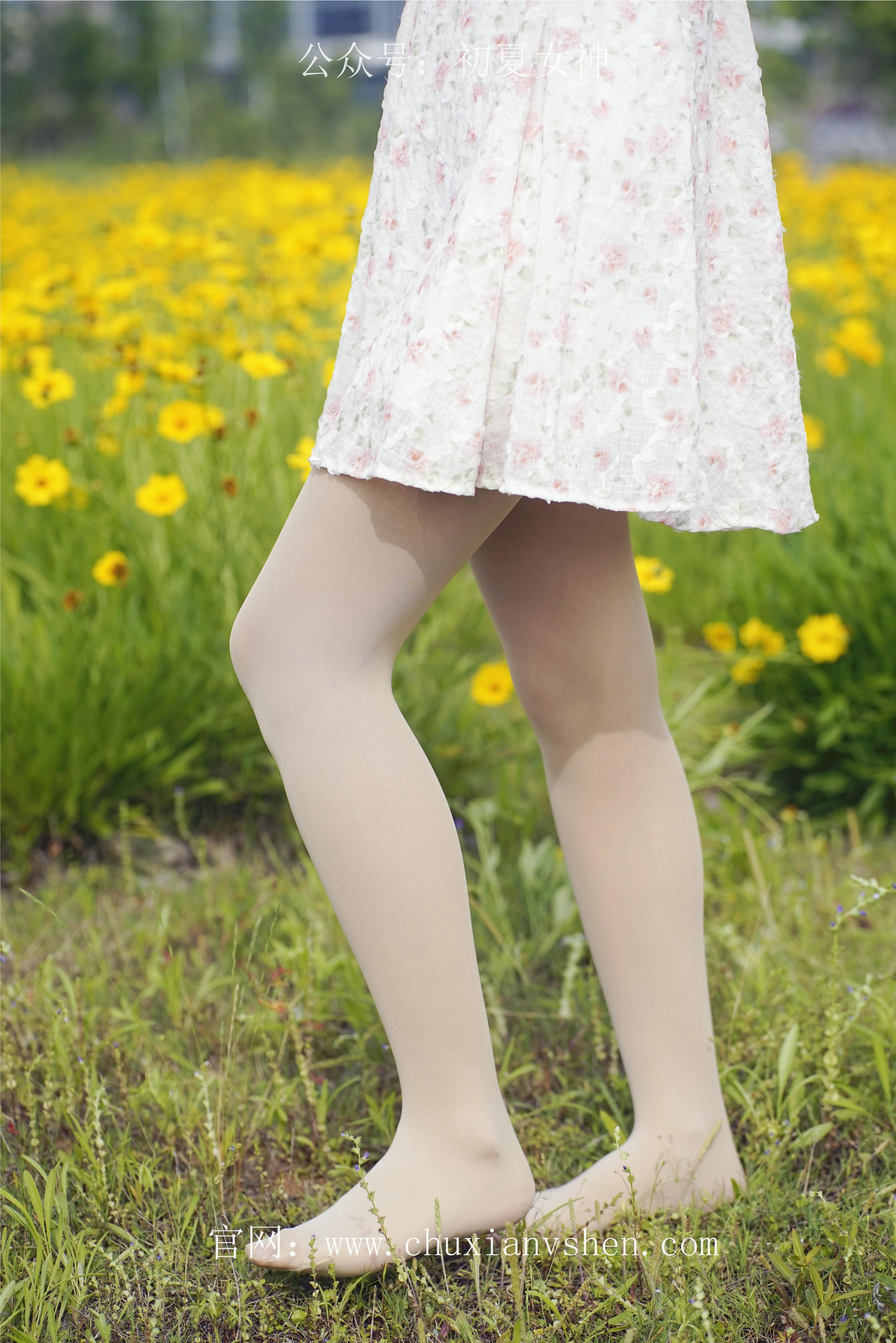 初夏女神 NO.070 依依 邻家女孩-风中少女[122P+1V／4.65GB]_第2集