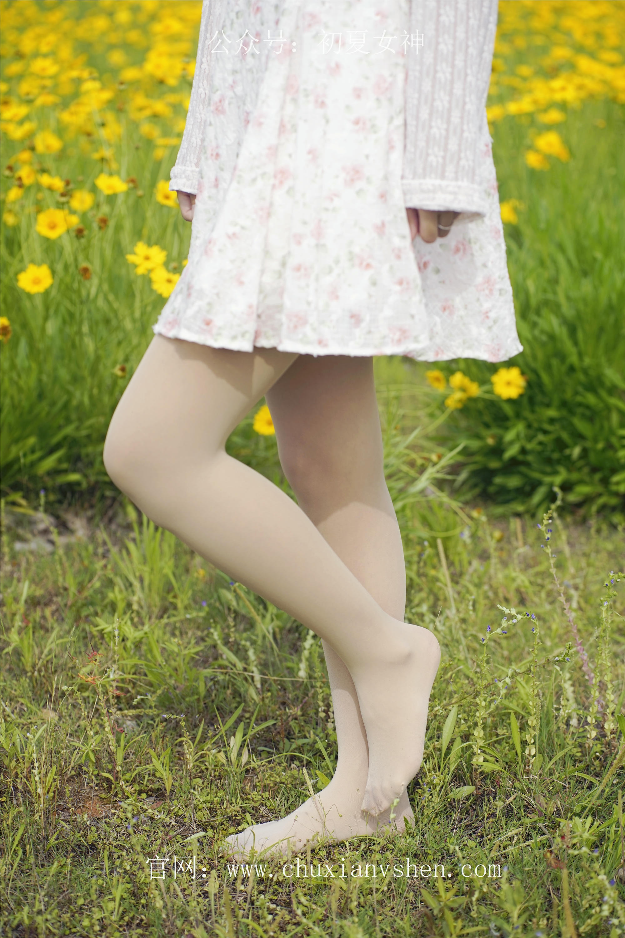 初夏女神 NO.070 依依 邻家女孩-风中少女[122P+1V／4.65GB]_第2集