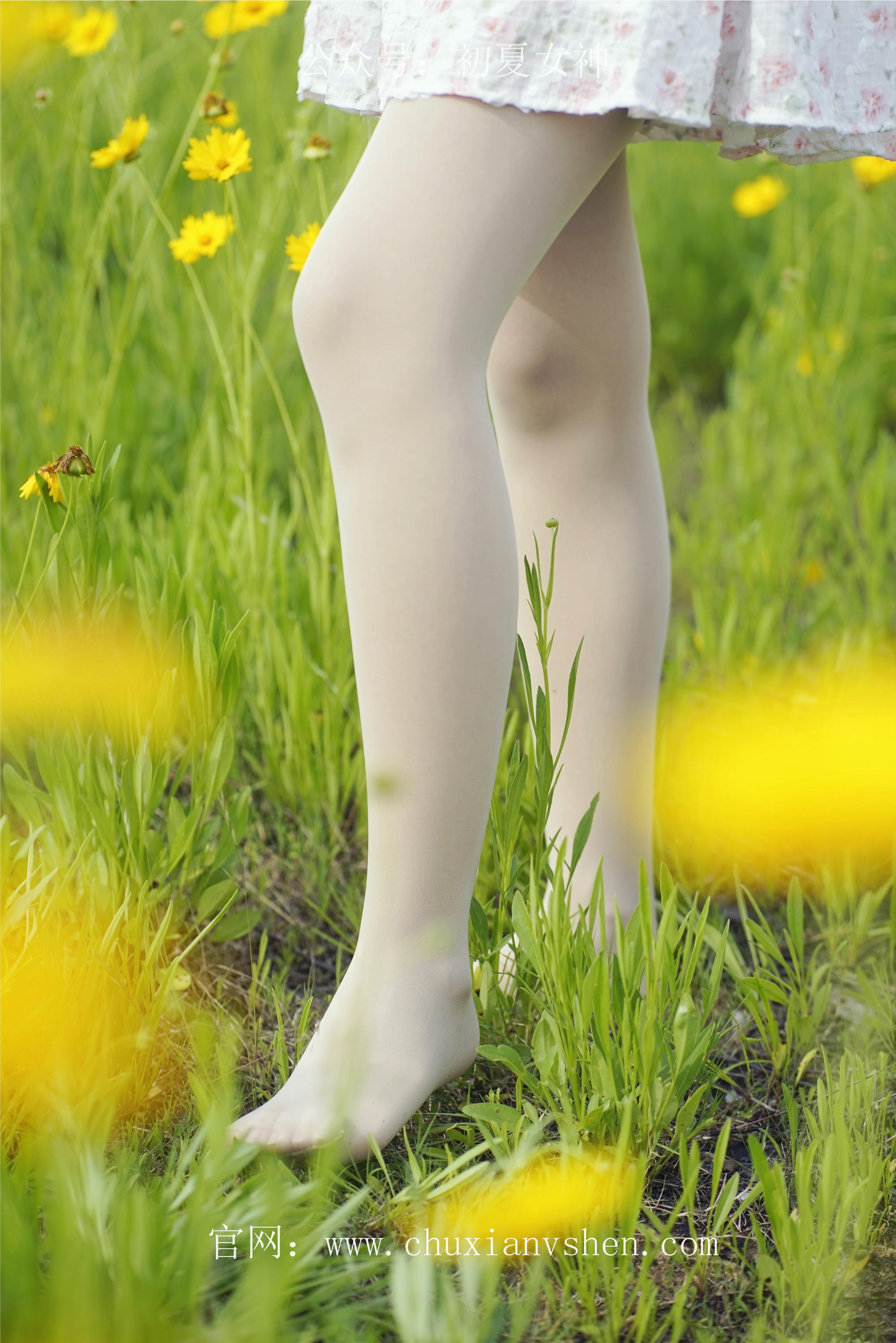 初夏女神 NO.070 依依 邻家女孩-风中少女[122P+1V／4.65GB]_第2集