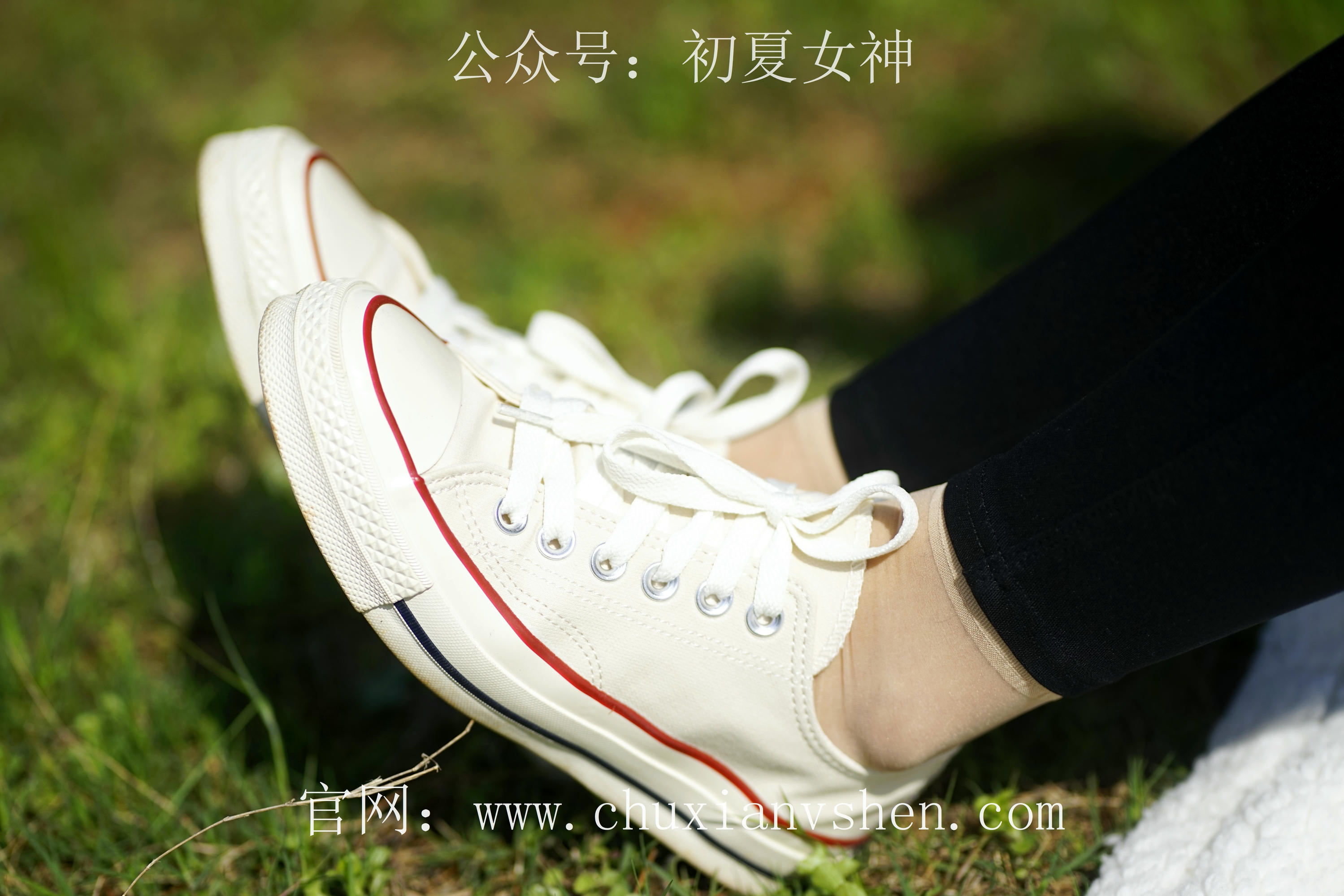 初夏女神 NO.073 依依 邻家女孩-学习篇[140P+1V／6.12GB]_第7集