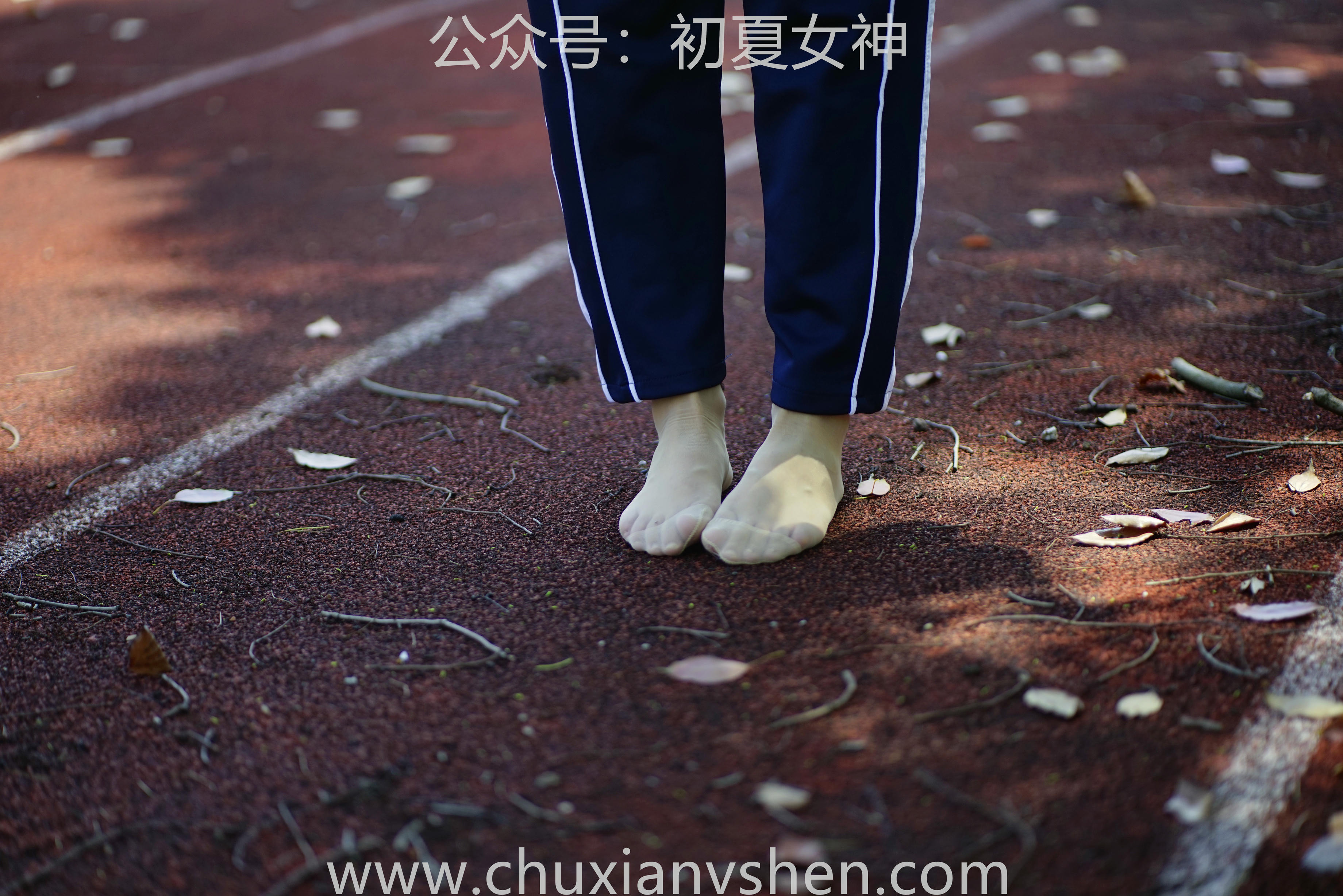 初夏女神 NO.074 点点 旧梦青春[172P+1V／6.61GB]_第6集