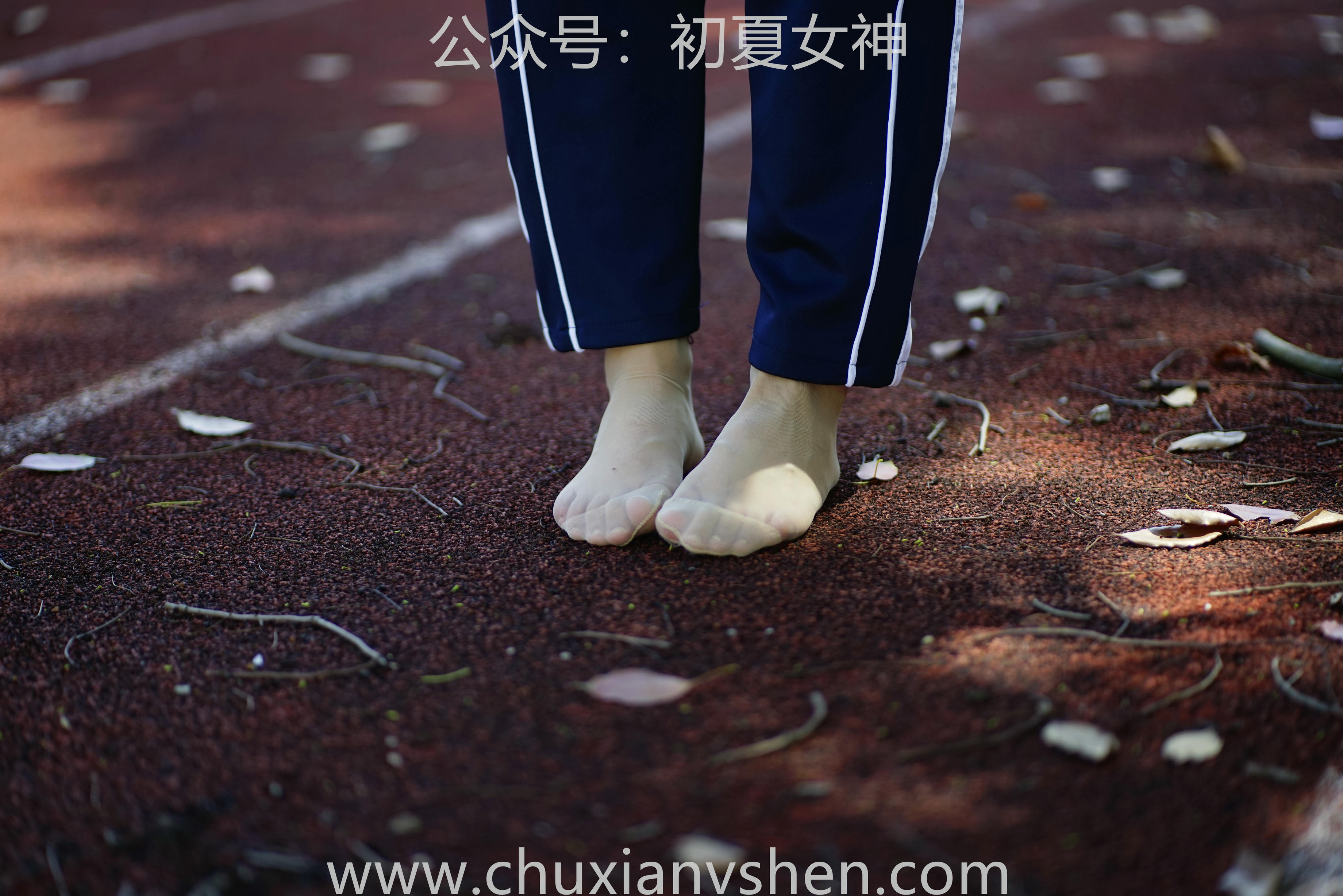 初夏女神 NO.074 点点 旧梦青春[172P+1V／6.61GB]_第6集