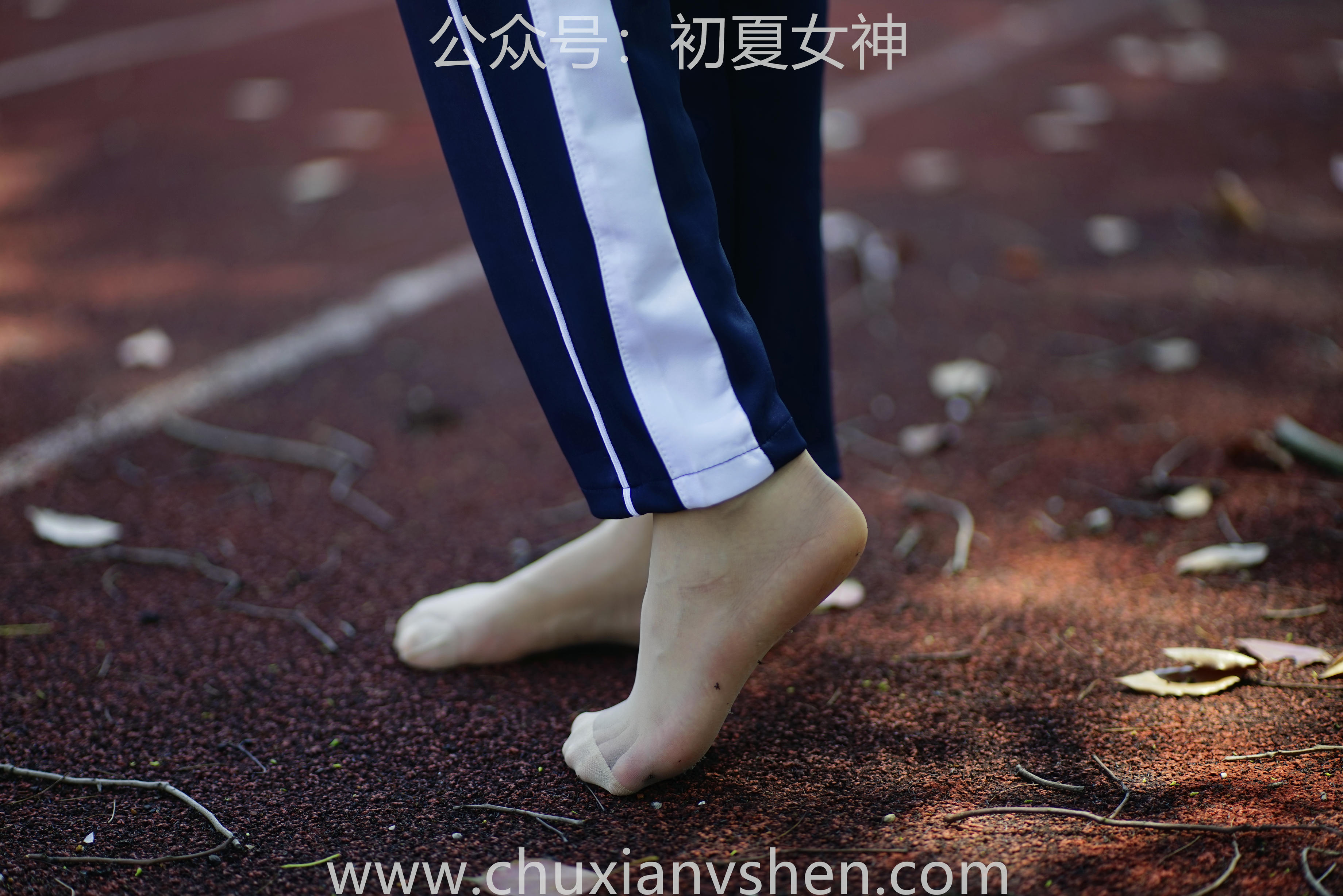 初夏女神 NO.074 点点 旧梦青春[172P+1V／6.61GB]_第6集