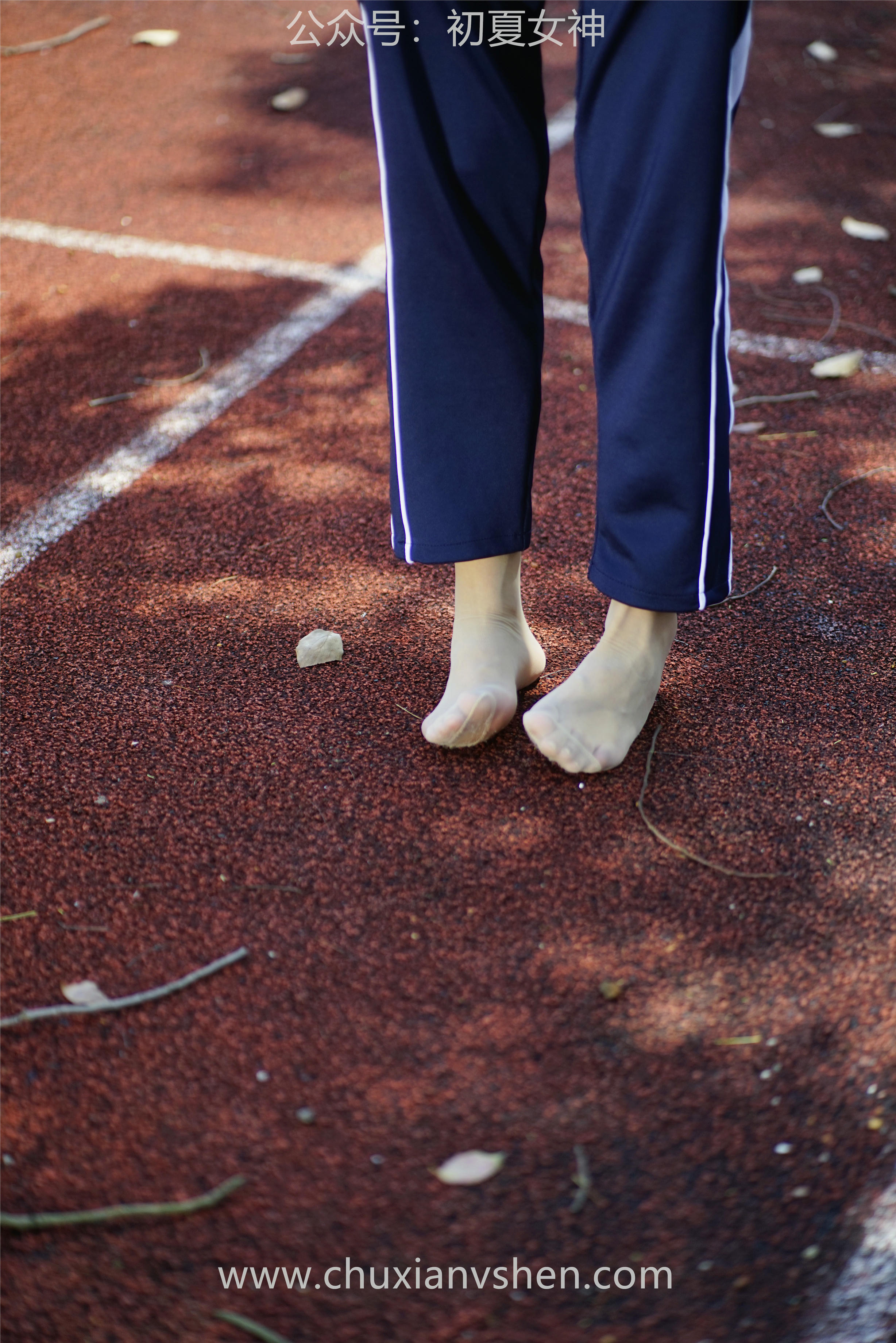 初夏女神 NO.074 点点 旧梦青春[172P+1V／6.61GB]_第8集