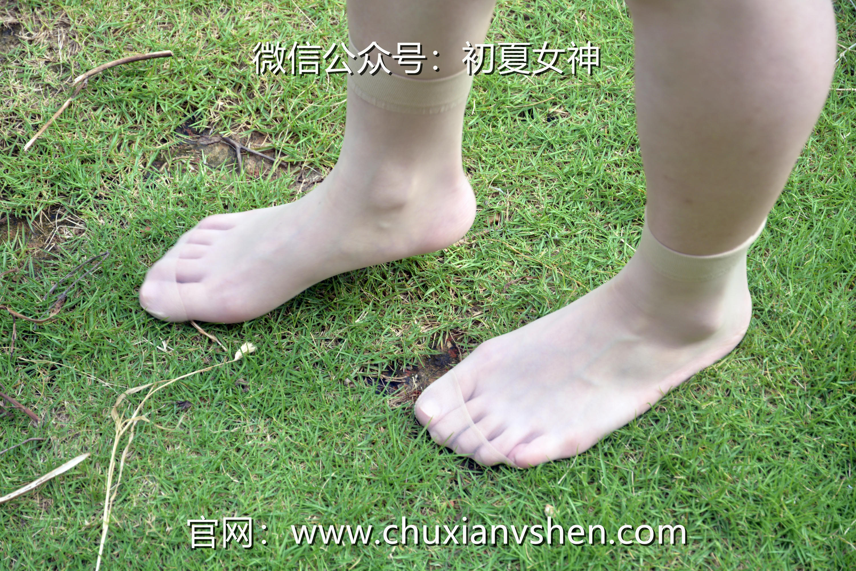 初夏女神 NO.030 双双 清凉一夏[110P+1V／4.80GB]_第5集