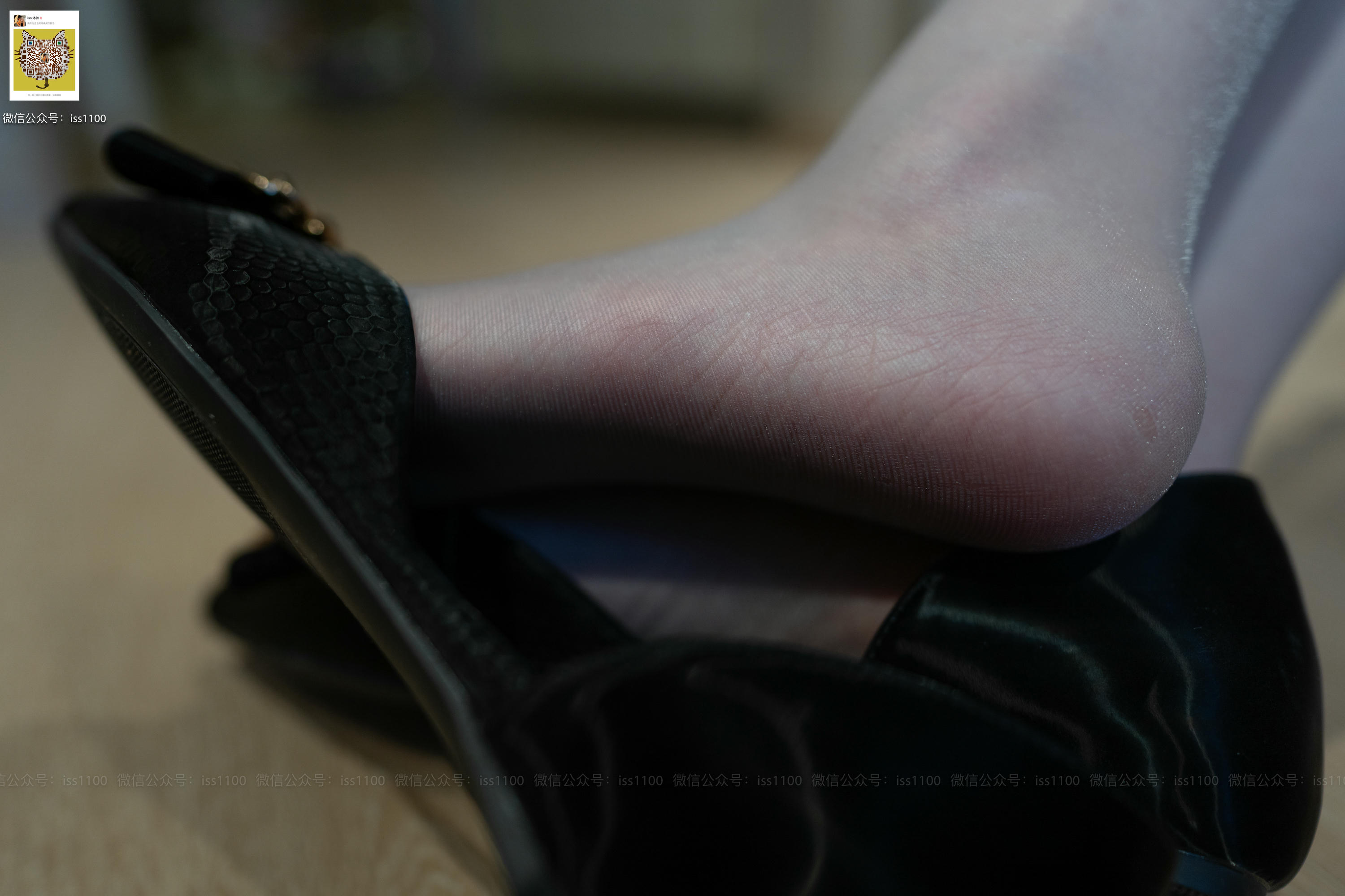 ISS系列 NO.041 酸酸 黑衬衫 [110P+1V1.19G]_第1集