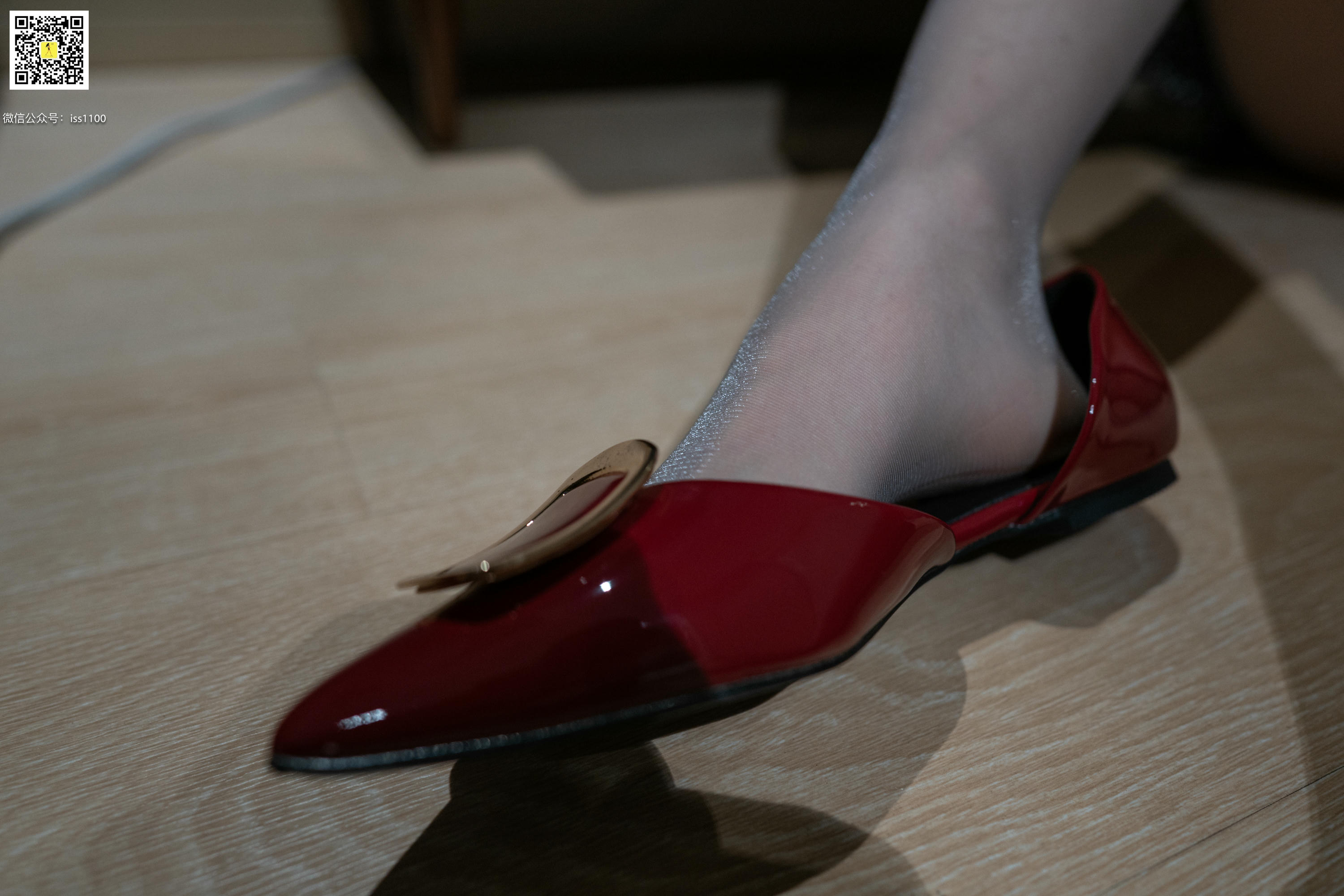 ISS系列 NO.009 酱酱 丝袜 [109P+1V1.17G]_第2集