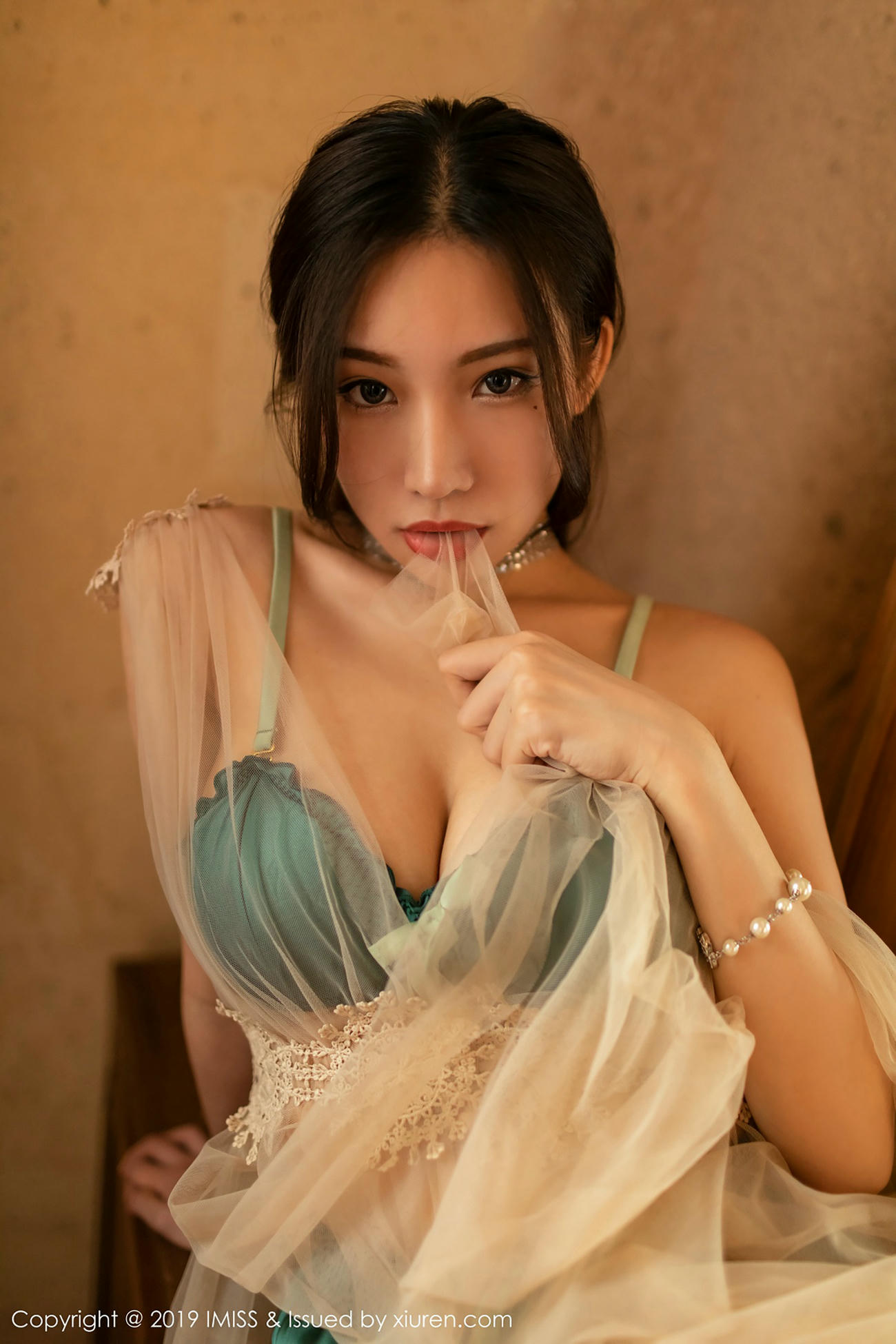 IMISS爱蜜社 2019.01.10 VOL.319 小狐狸Kathryn[40+1P142M]_第2集