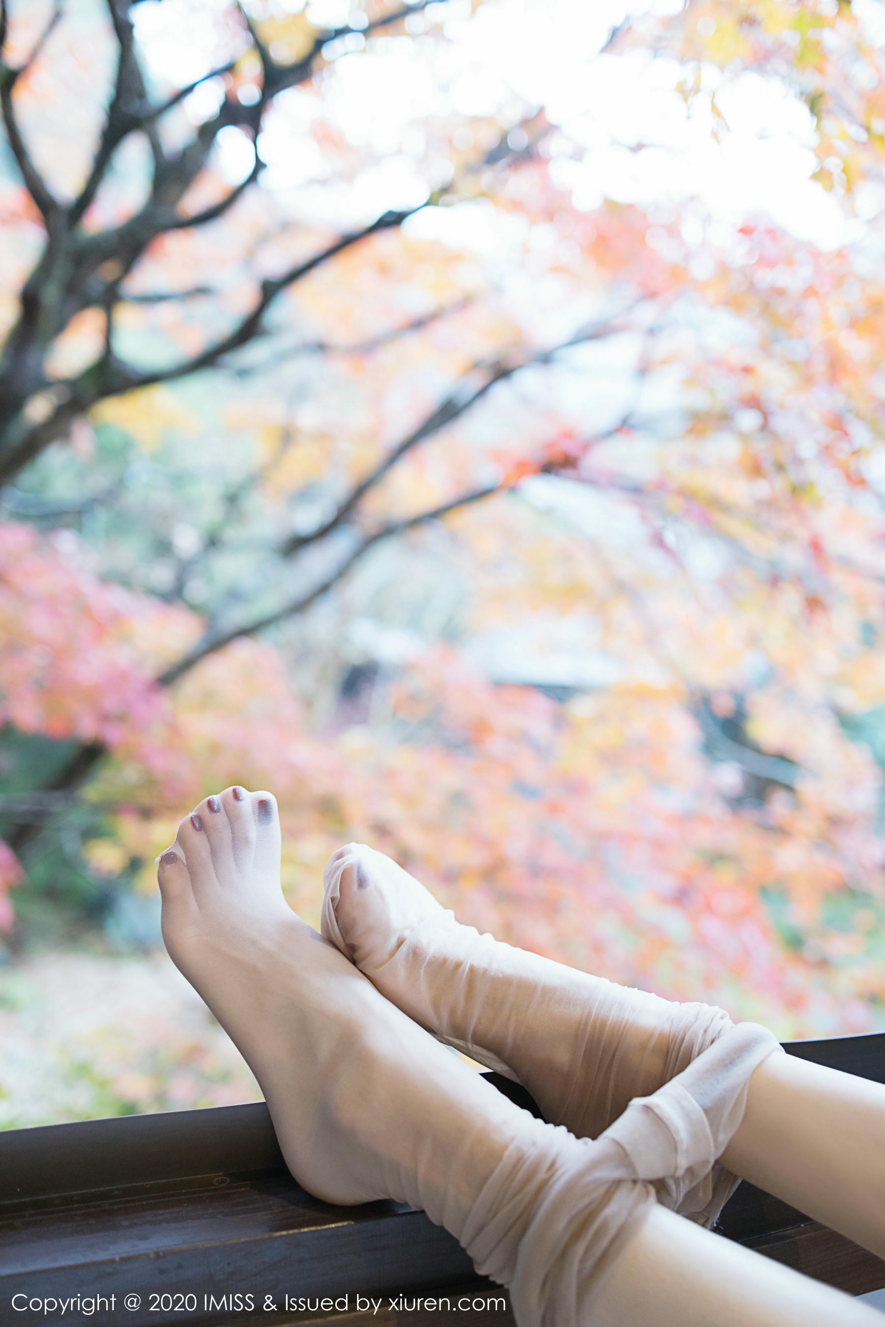 IMISS爱蜜社 2020.03.04 VOL.447 小狐狸Kathryn [51P134MB]_第3集