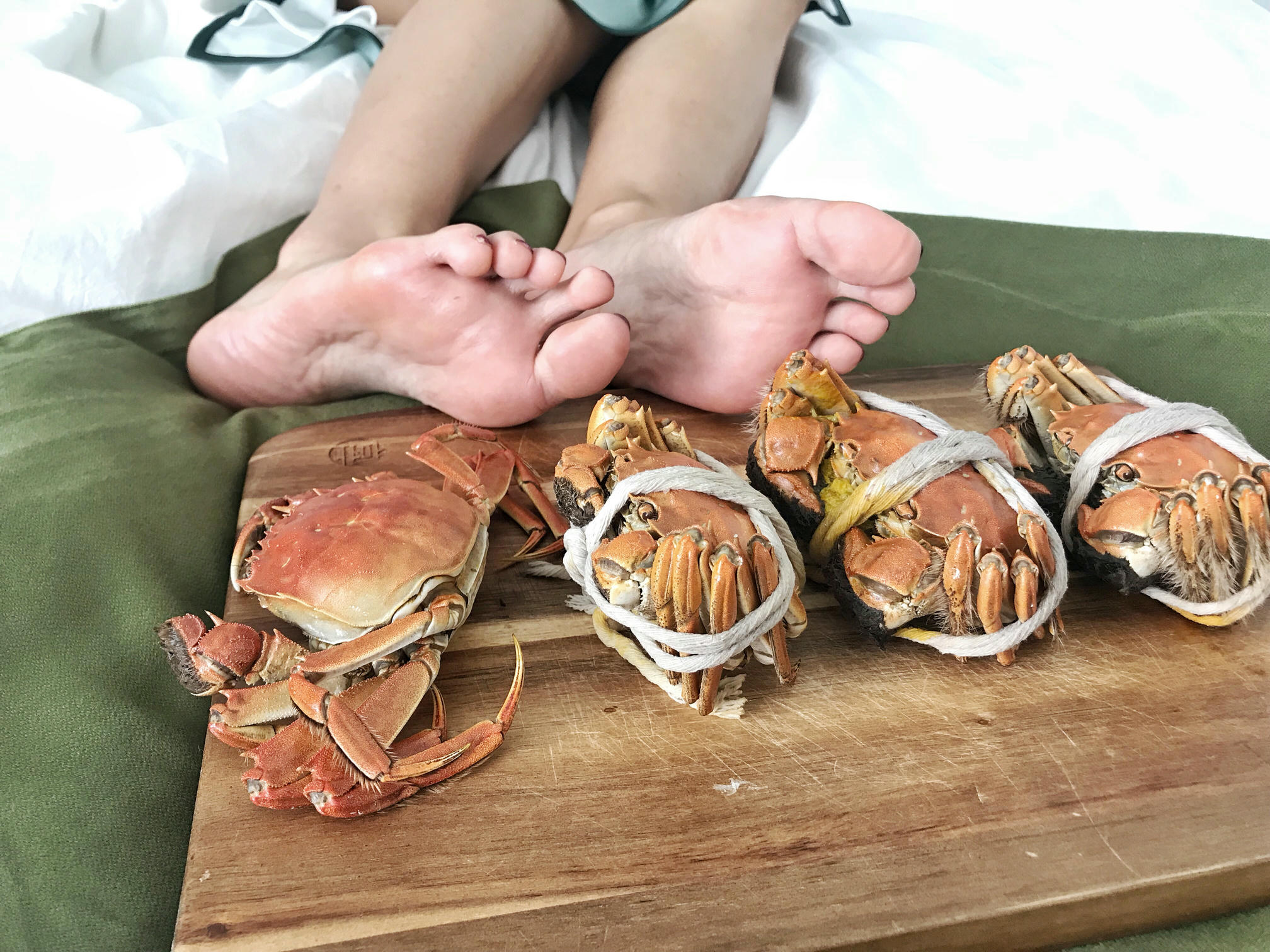 安乔乔 NO.017 旗袍肉丝 [110P+407M]_第6集