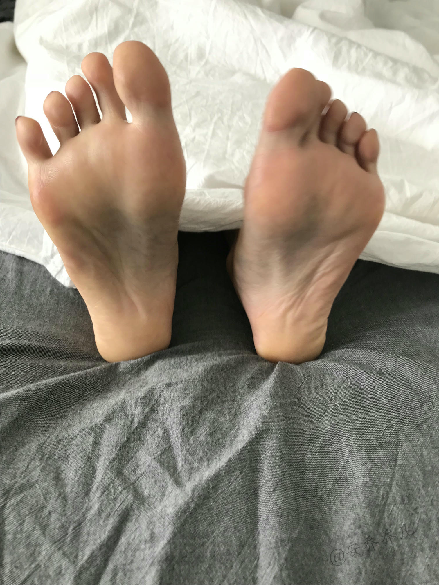 安乔乔 NO.017 旗袍肉丝 [110P+407M]_第4集