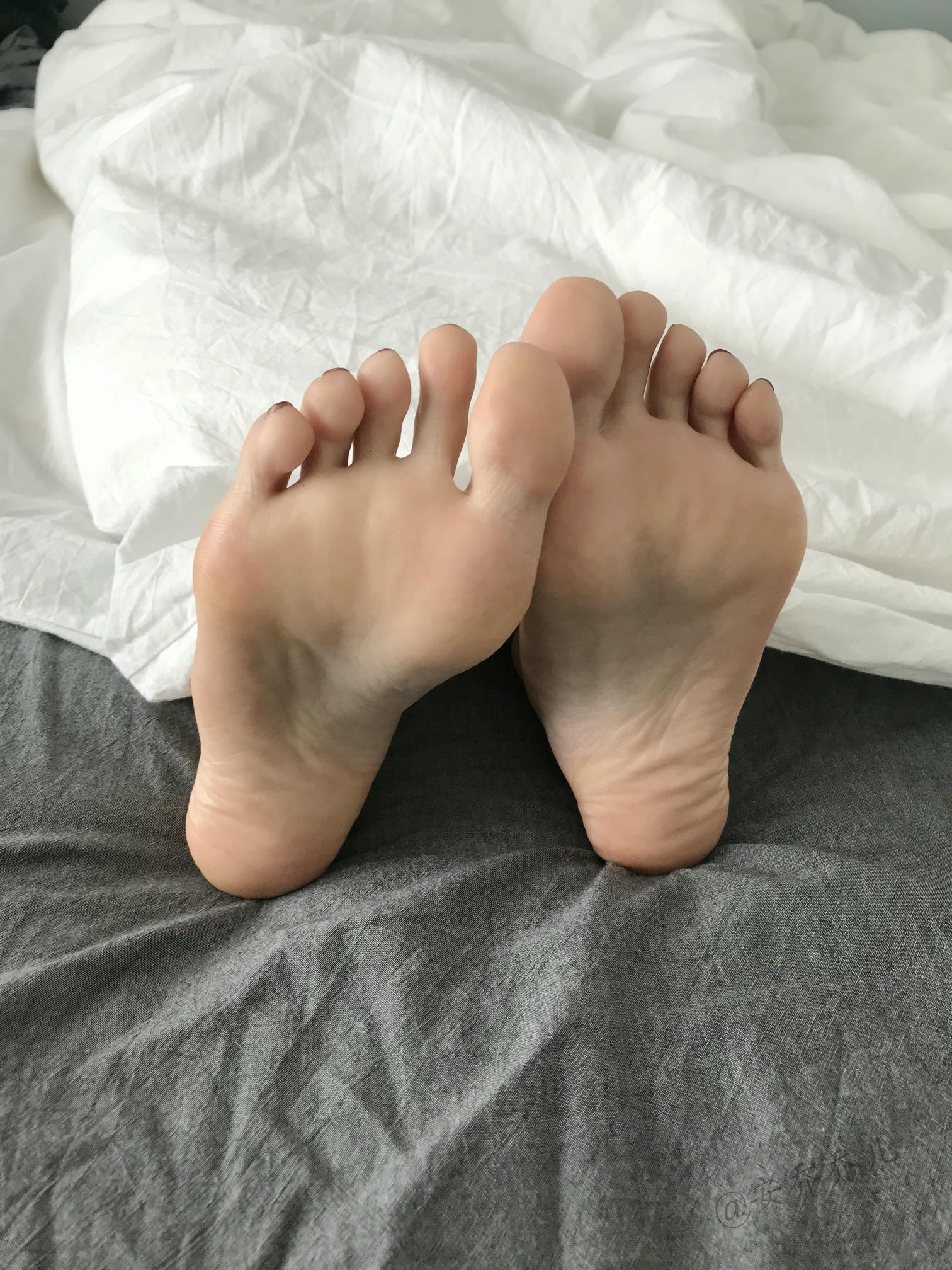 安乔乔 NO.017 旗袍肉丝 [110P+407M]_第4集