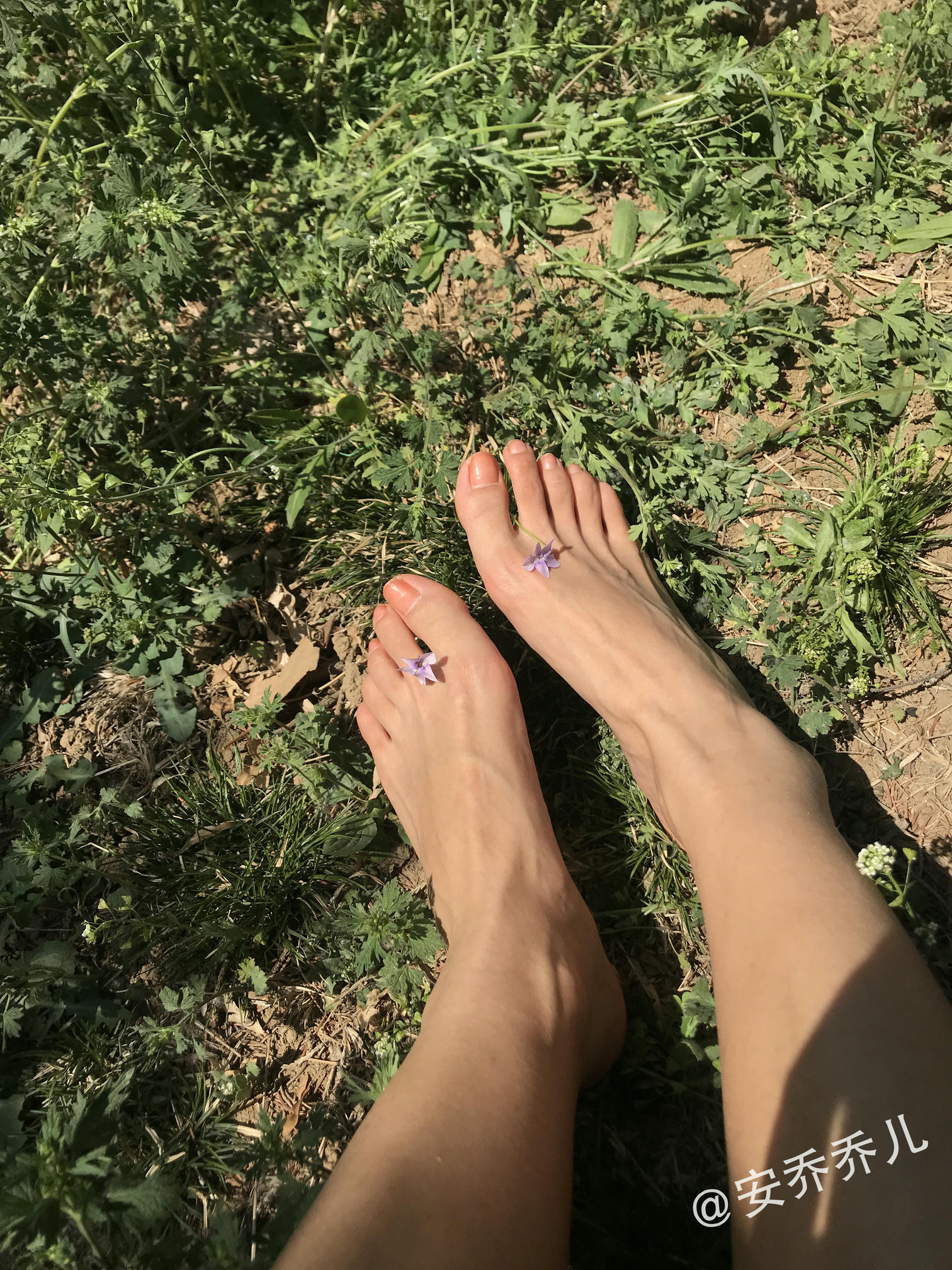 安乔乔 NO.018 夏天的风 [115P+775M]_第5集