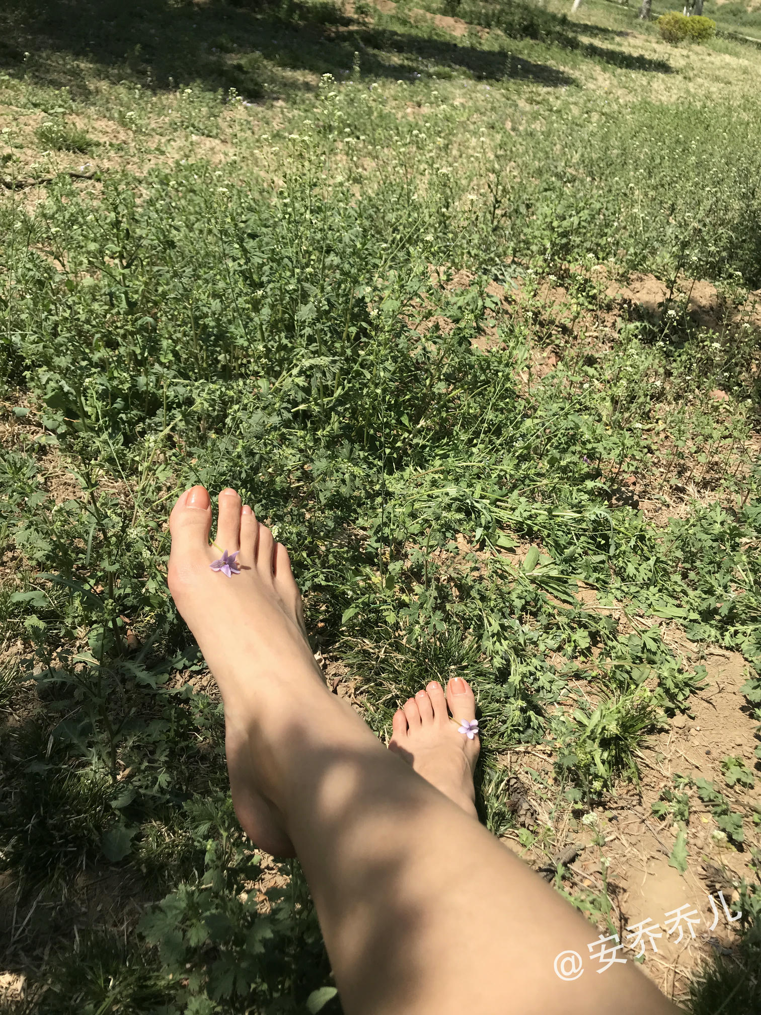 安乔乔 NO.018 夏天的风 [115P+775M]_第6集