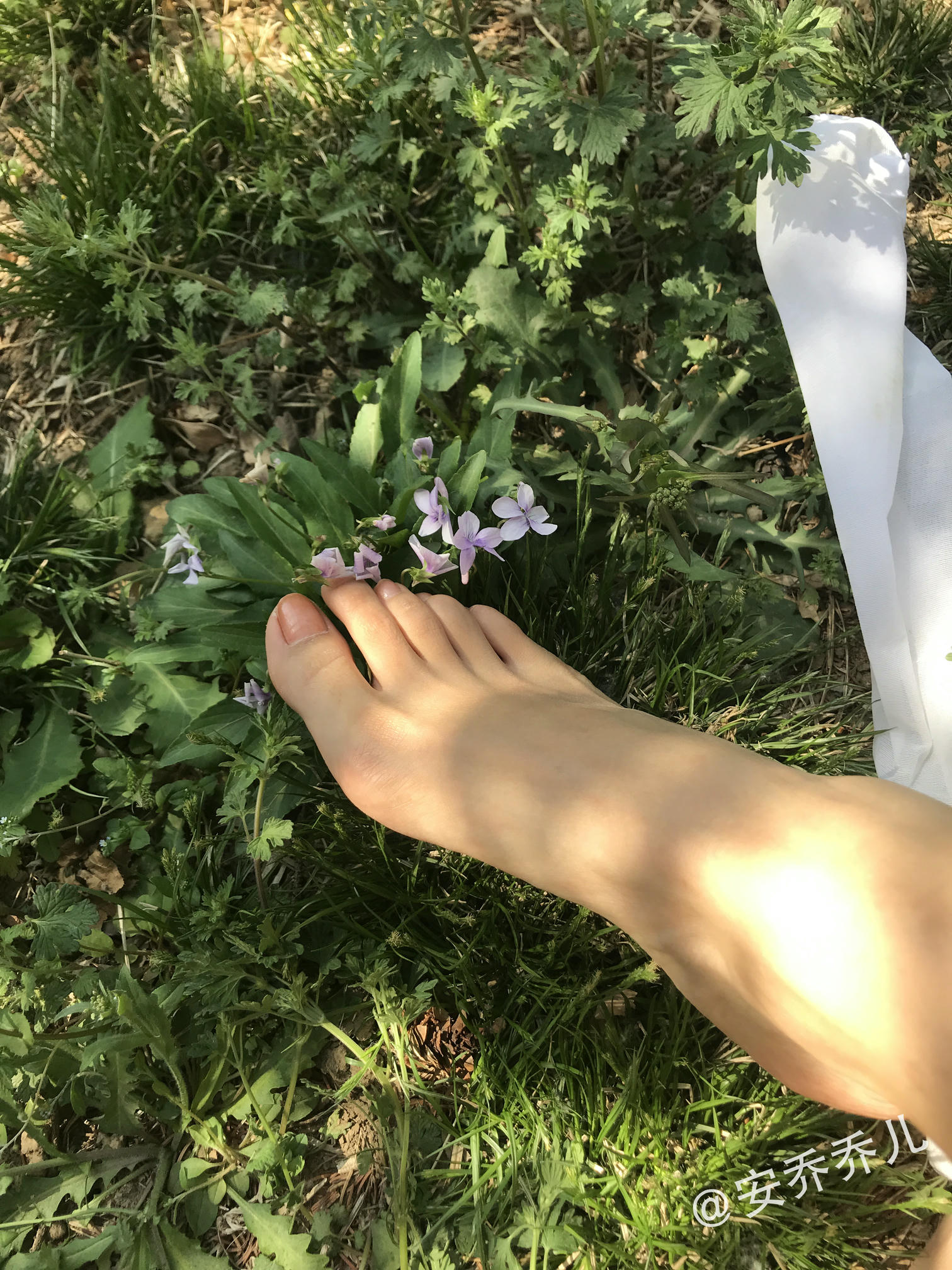 安乔乔 NO.018 夏天的风 [115P+775M]_第6集