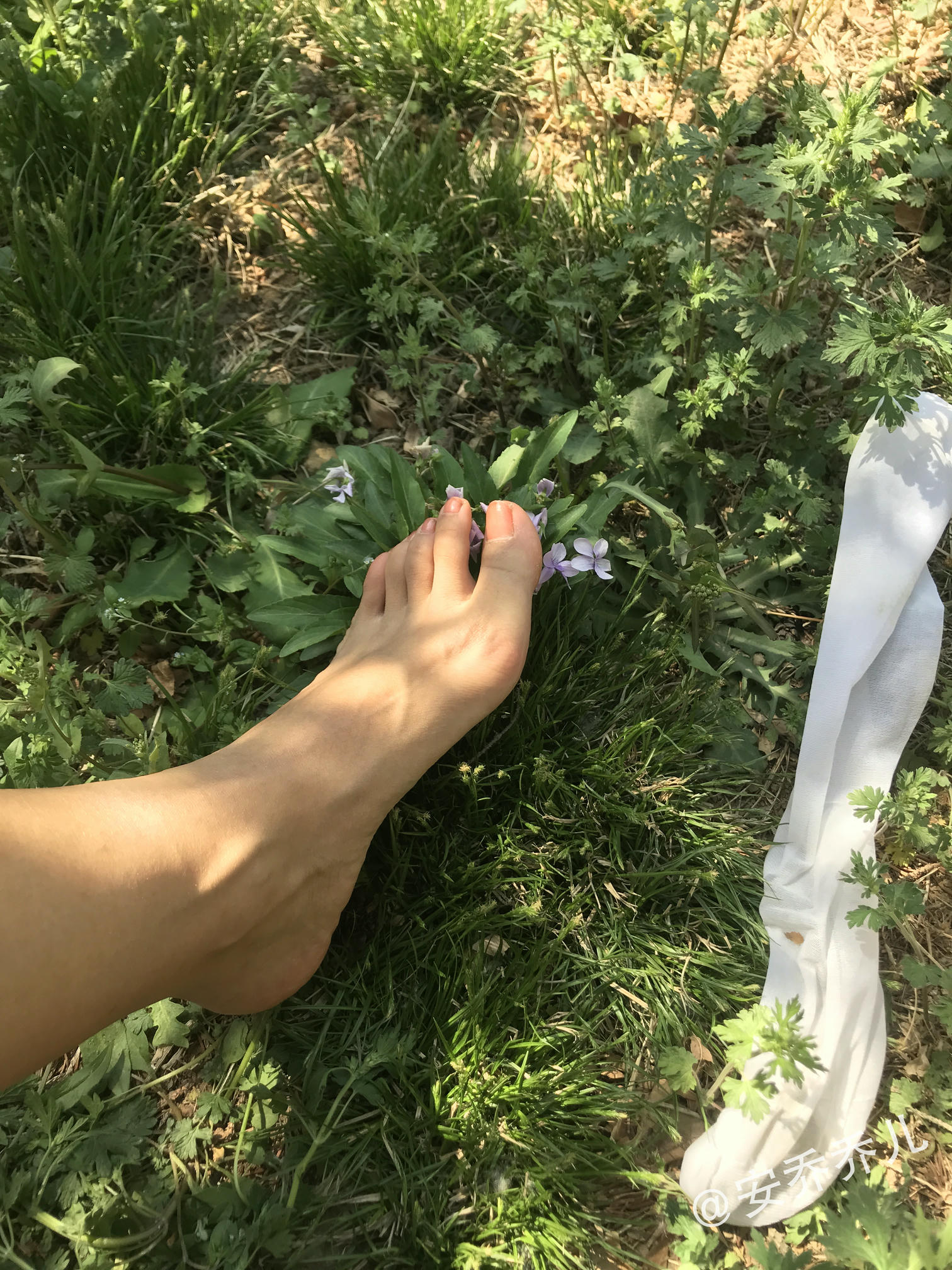 安乔乔 NO.018 夏天的风 [115P+775M]_第6集