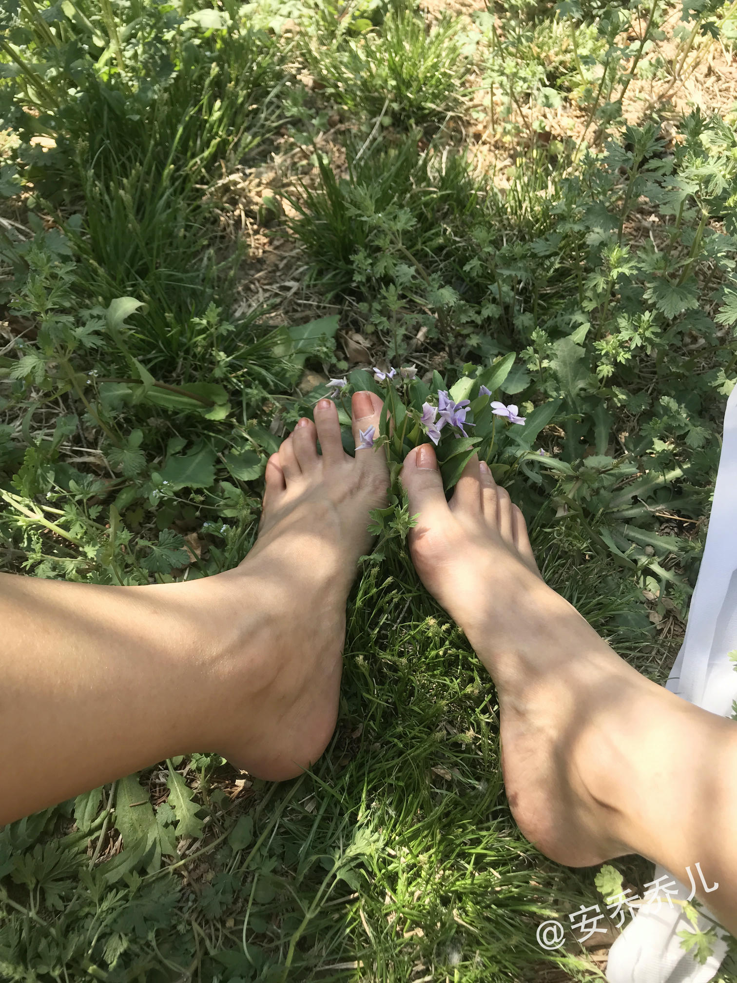 安乔乔 NO.018 夏天的风 [115P+775M]_第6集