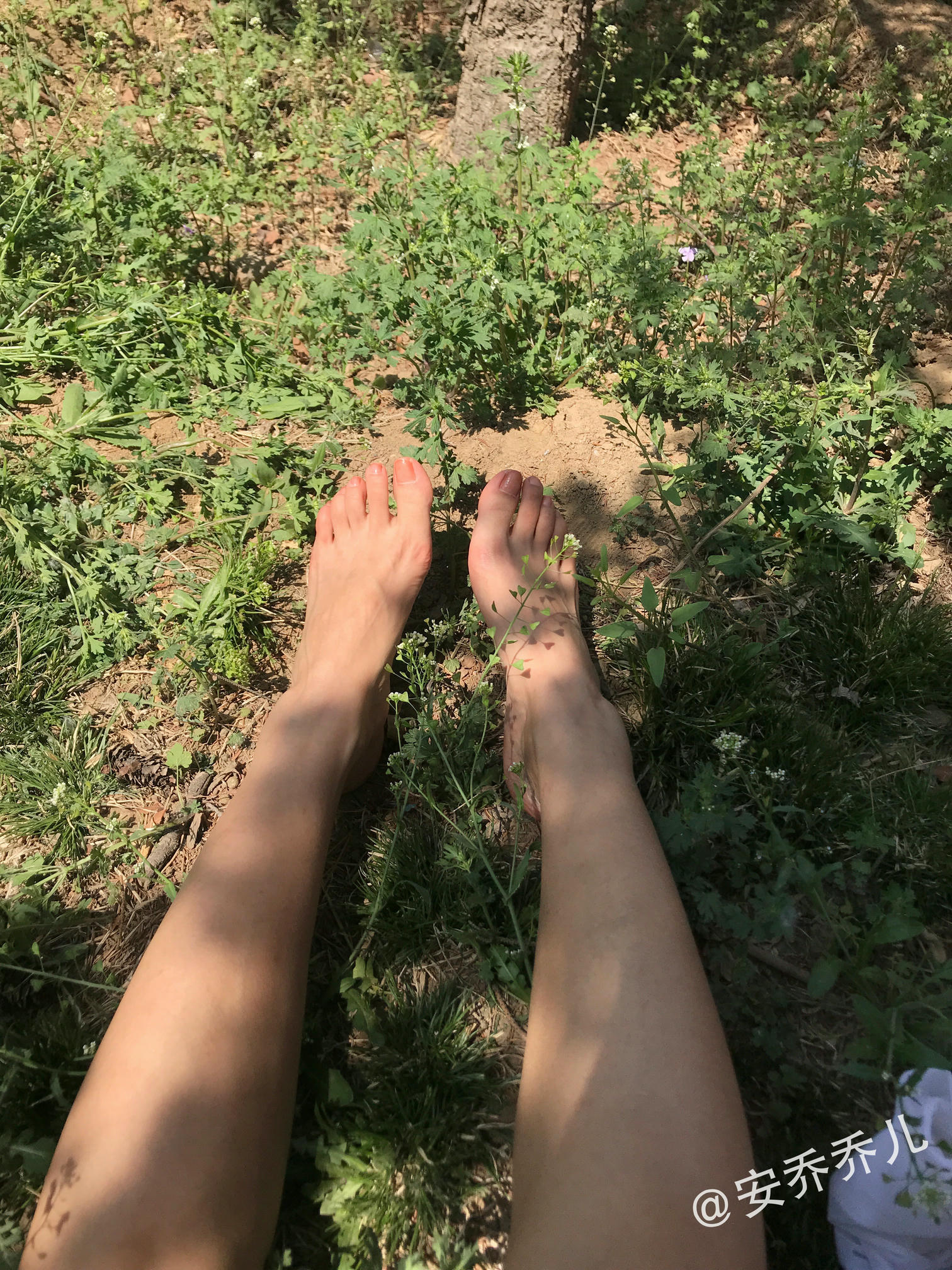 安乔乔 NO.018 夏天的风 [115P+775M]_第6集