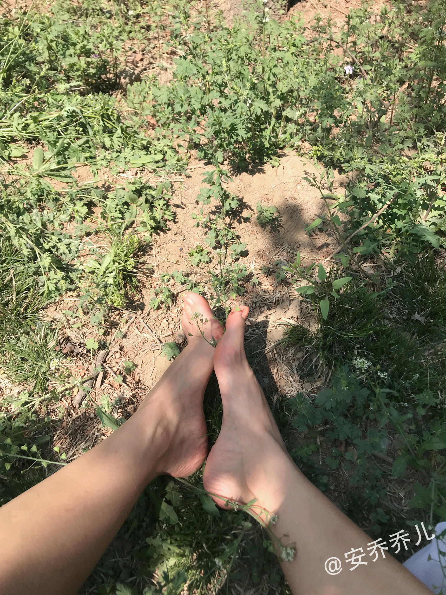 安乔乔 NO.018 夏天的风 [115P+775M]_第6集