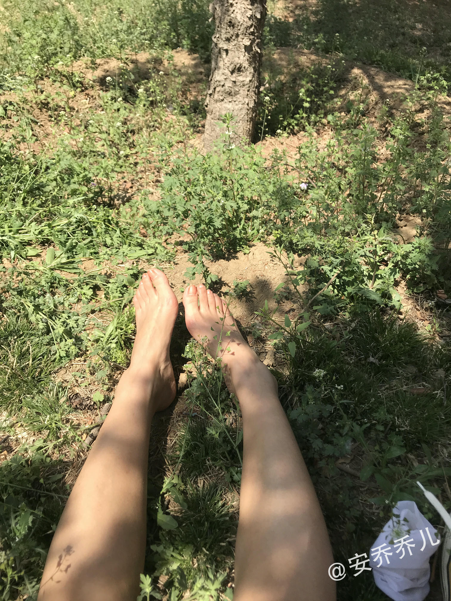 安乔乔 NO.018 夏天的风 [115P+775M]_第6集