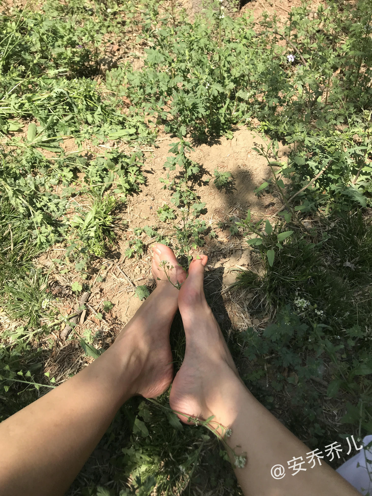 安乔乔 NO.018 夏天的风 [115P+775M]_第1集