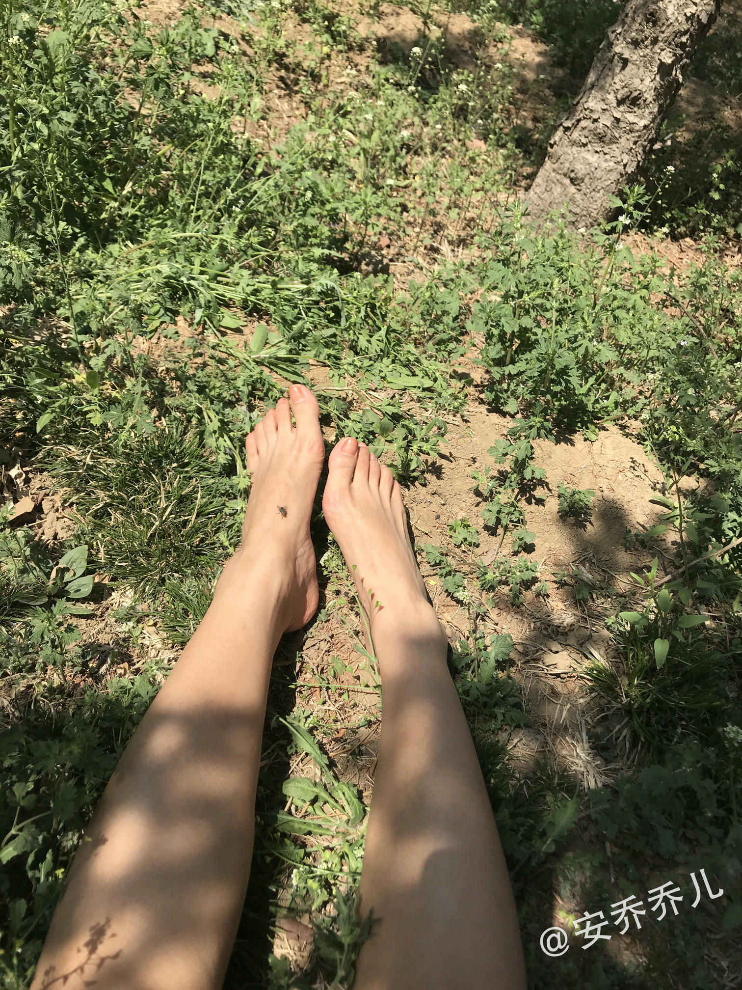 安乔乔 NO.018 夏天的风 [115P+775M]_第1集