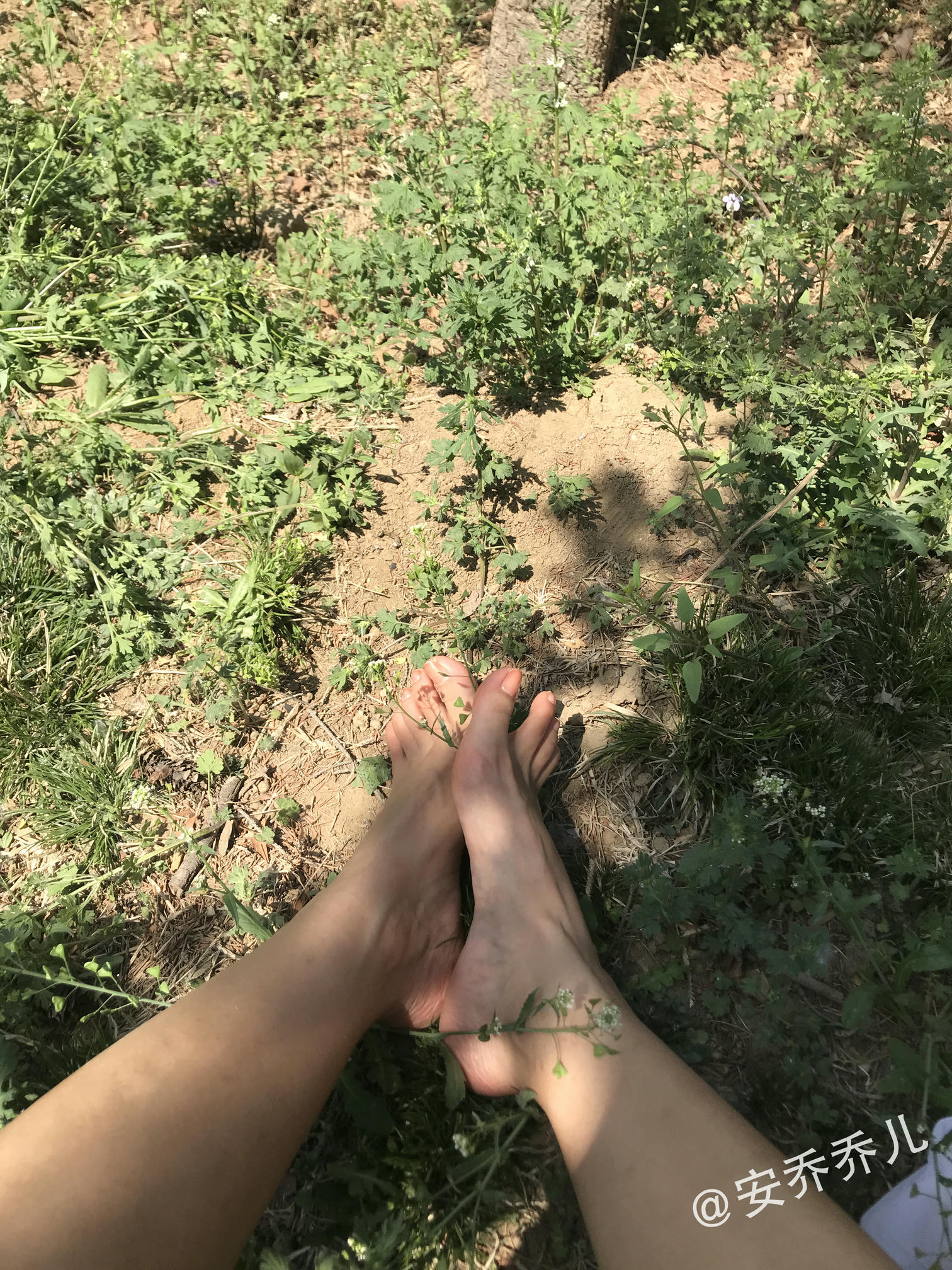 安乔乔 NO.018 夏天的风 [115P+775M]_第1集