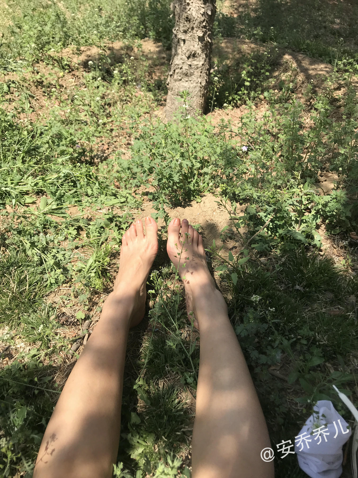 安乔乔 NO.018 夏天的风 [115P+775M]_第1集