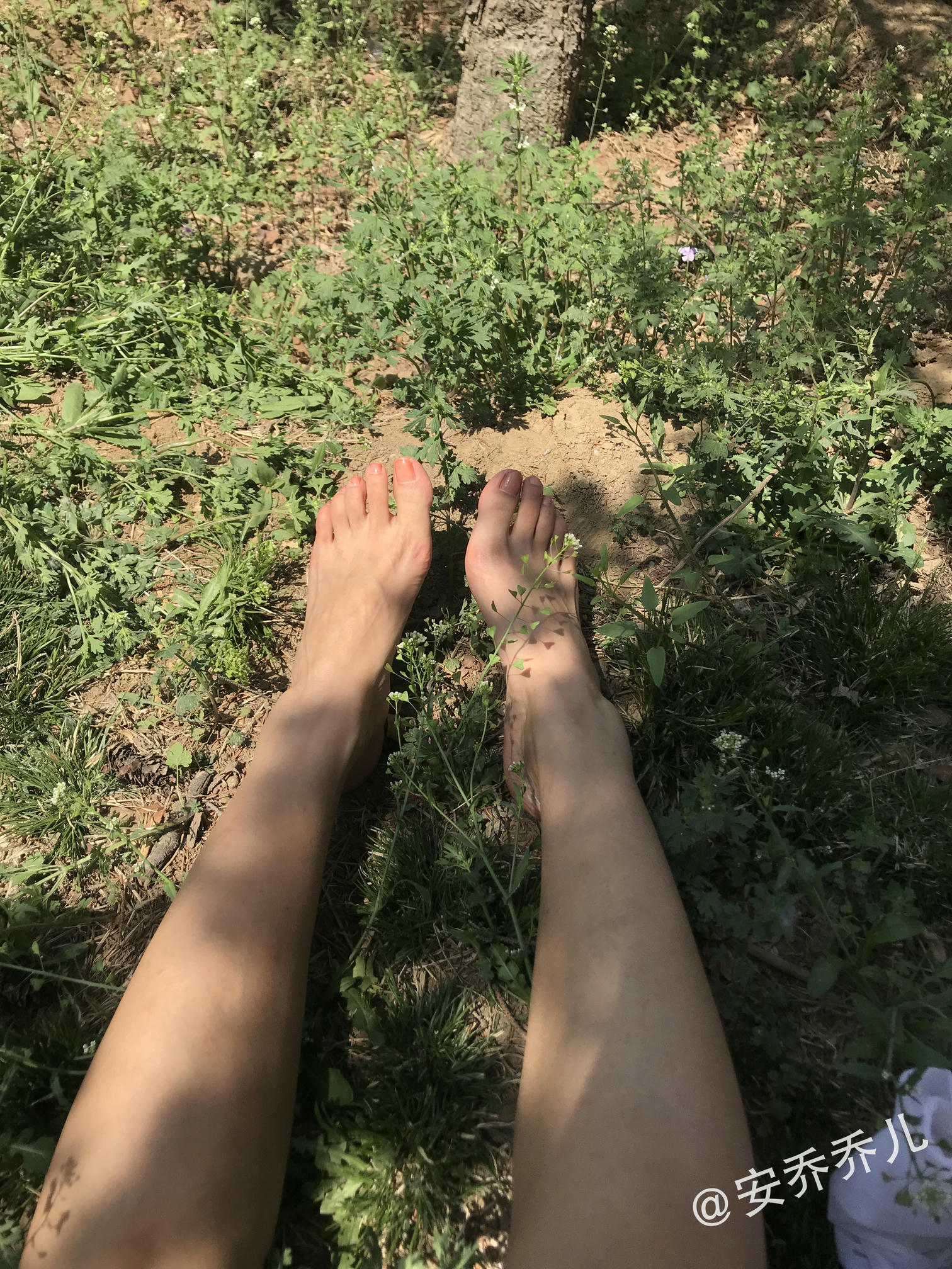 安乔乔 NO.018 夏天的风 [115P+775M]_第5集