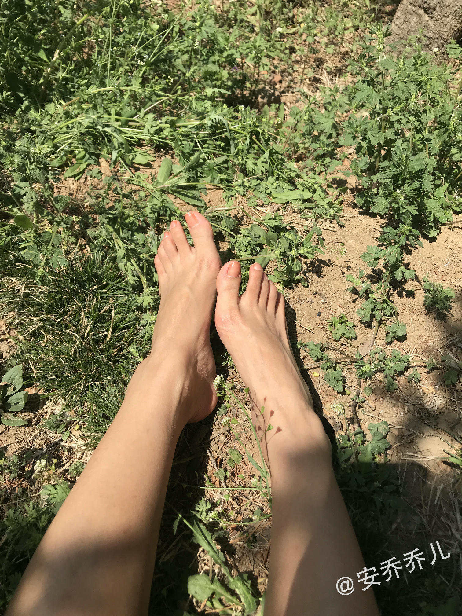 安乔乔 NO.018 夏天的风 [115P+775M]_第5集