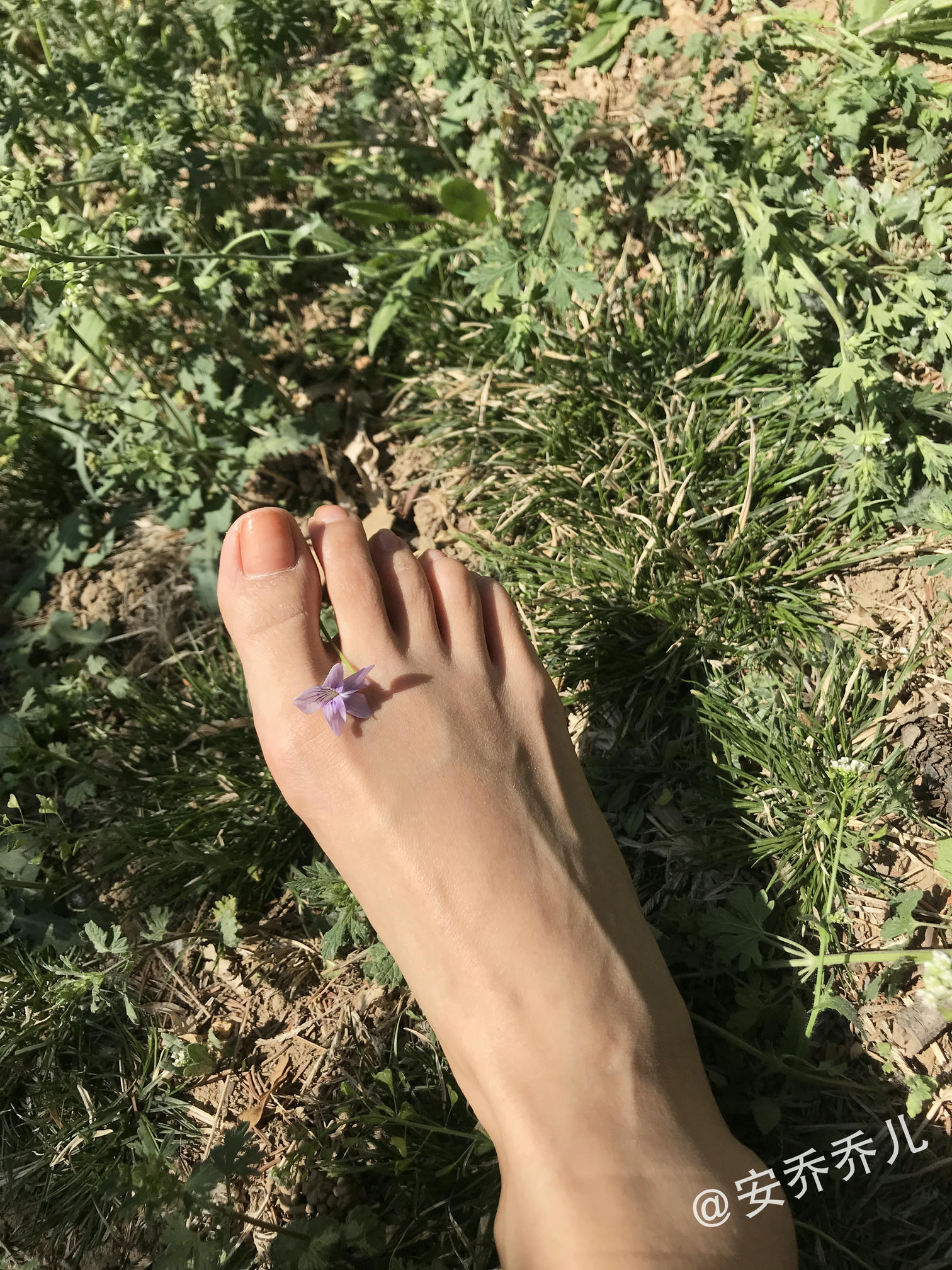 安乔乔 NO.018 夏天的风 [115P+775M]_第5集